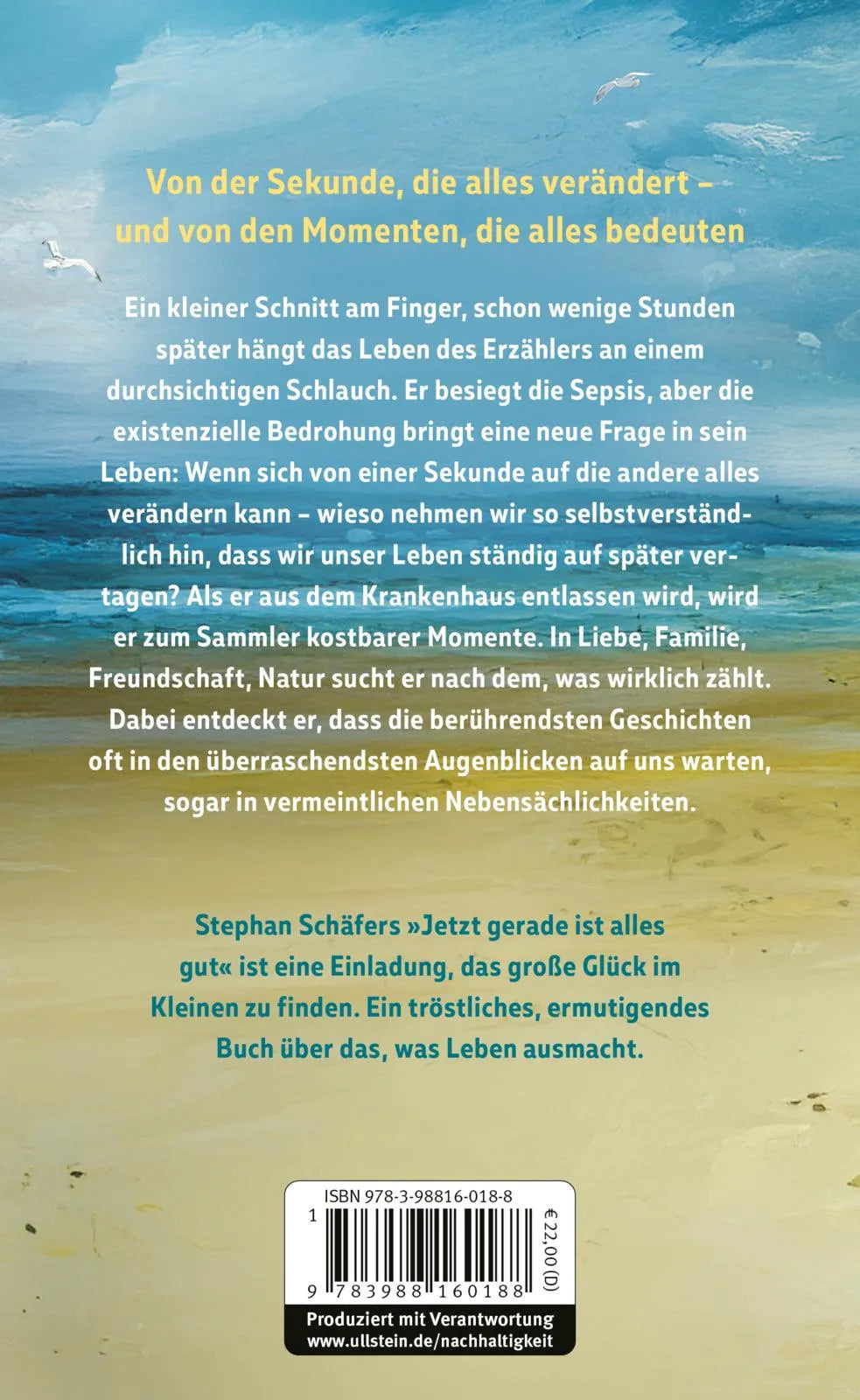 Rückseite: Jetzt gerade ist alles gut (Hardcover)