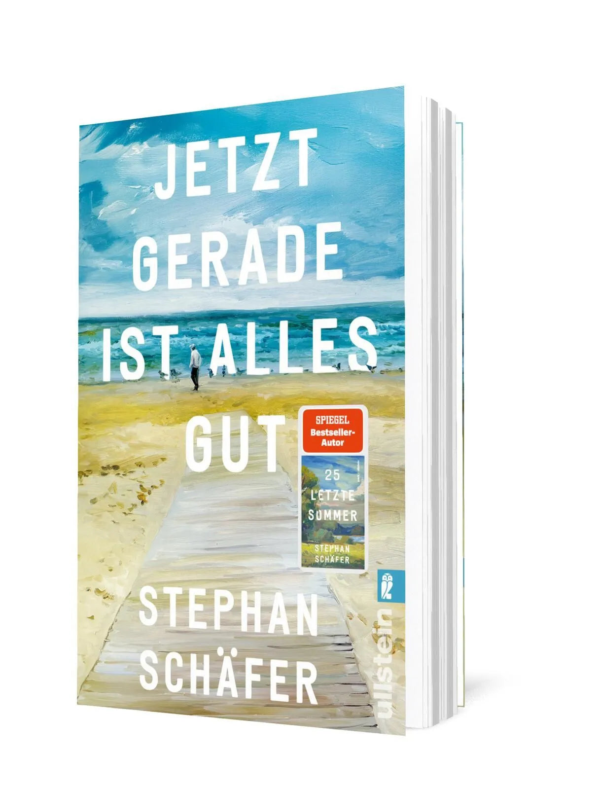 Detailansicht: Jetzt gerade ist alles gut (Taschenbuch)