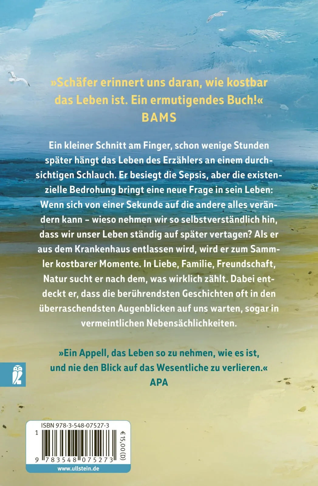 Rückseite: Jetzt gerade ist alles gut (Taschenbuch)