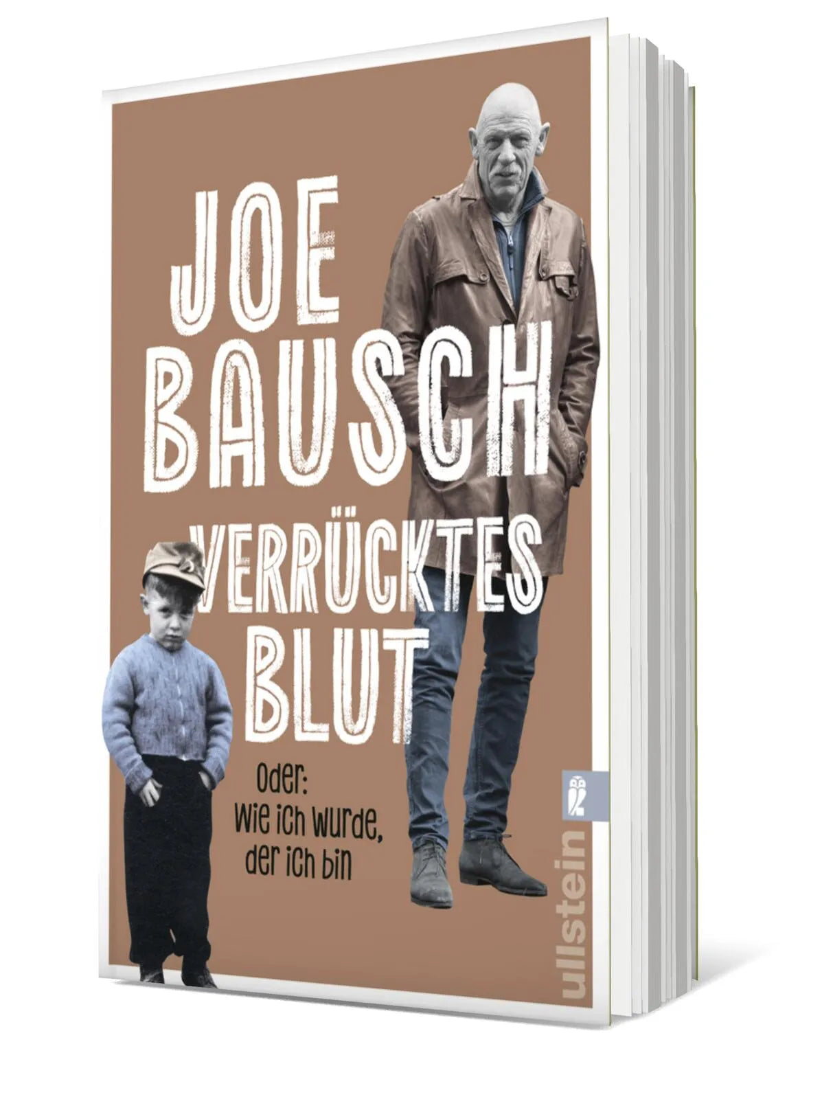 Produktansicht: Verrücktes Blut (Taschenbuch)