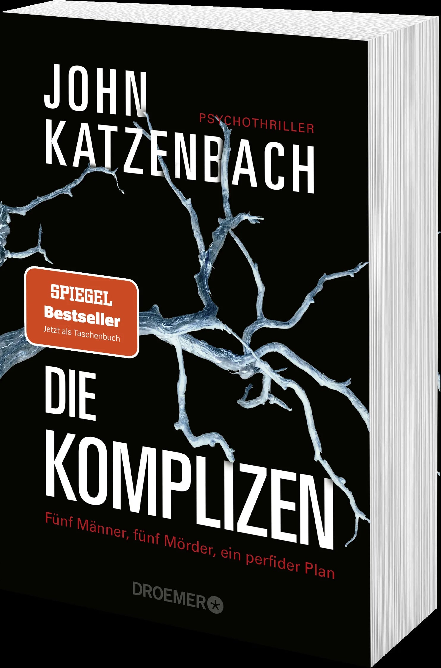 Produktansicht: Die Komplizen. Fünf Männer, fünf Mörder, ein perfider Plan (Taschenbuch)