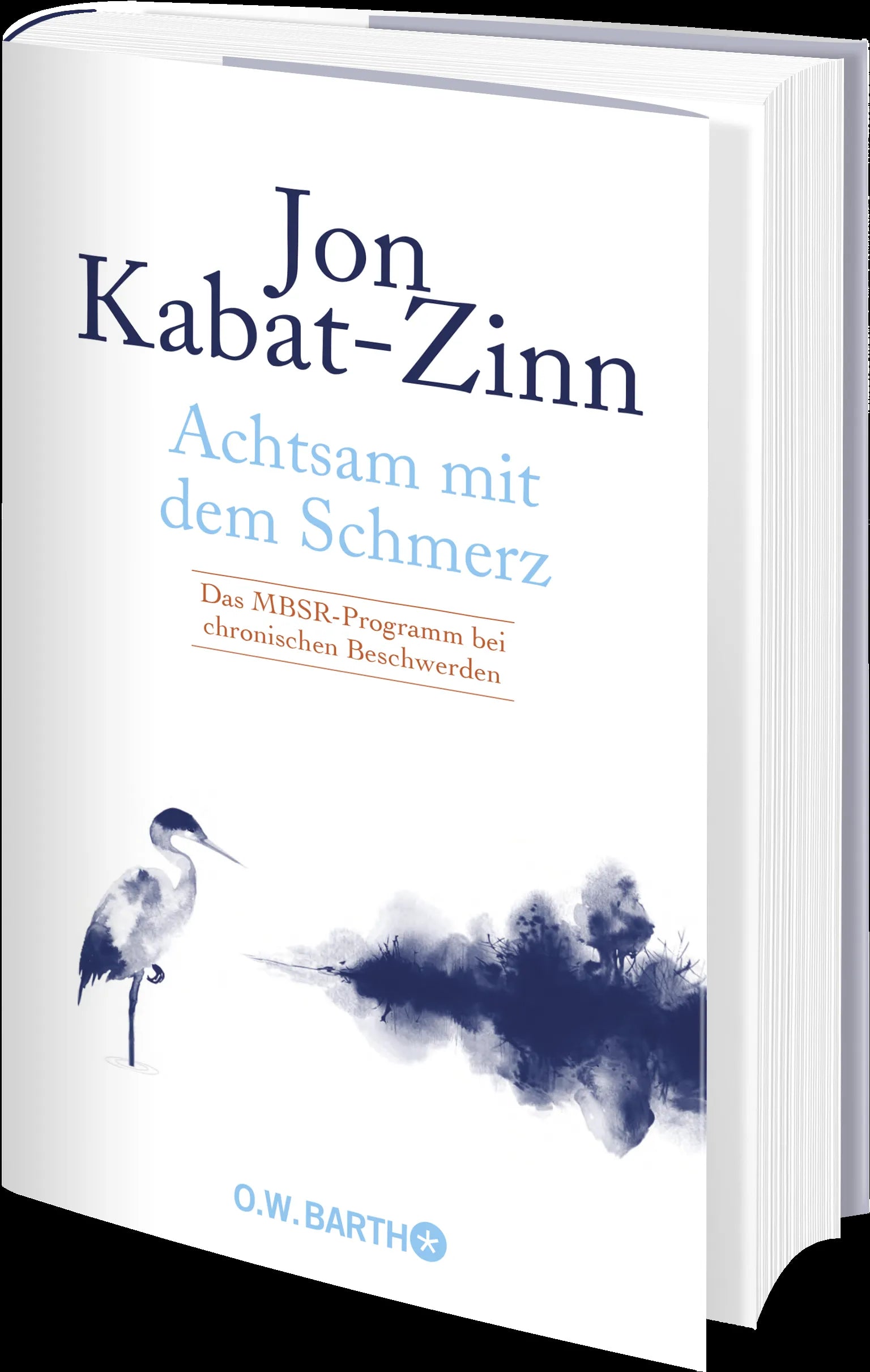 Produktansicht: Achtsam mit dem Schmerz (Gebundene Ausgabe)