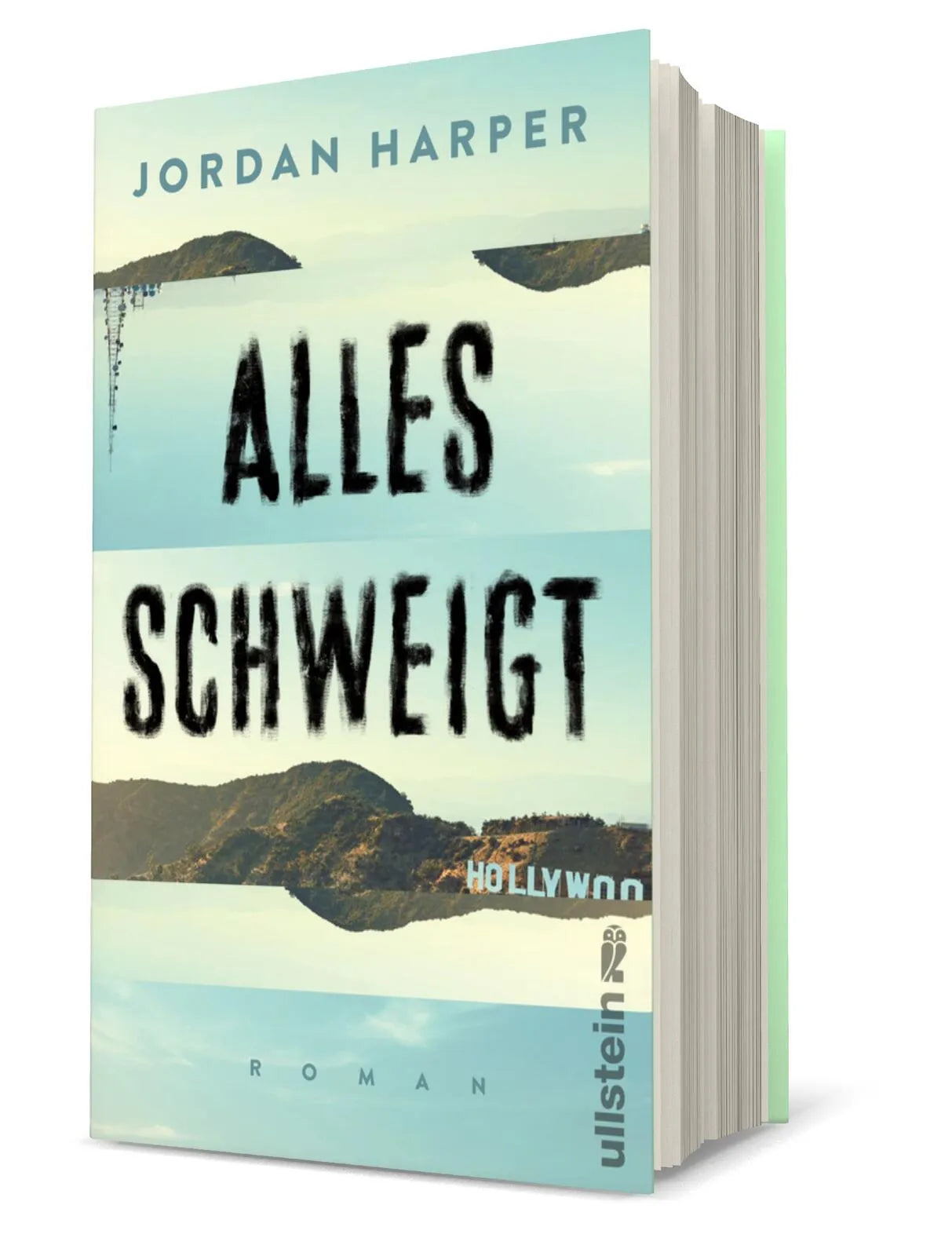 Produktansicht: Alles schweigt (Gebundene Ausgabe)