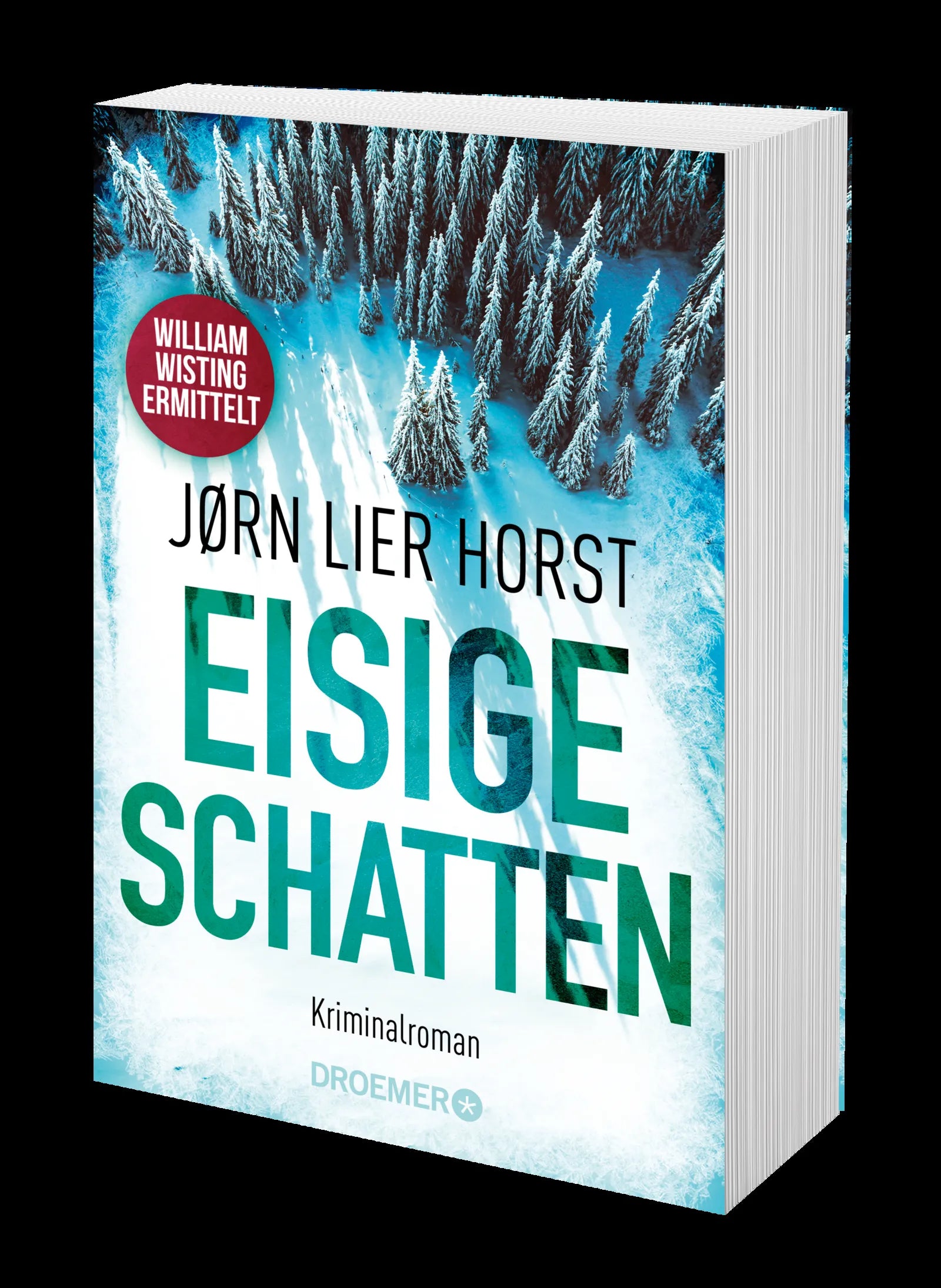 Produktansicht: Eisige Schatten (Taschenbuch)