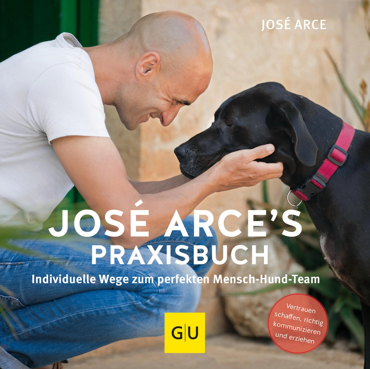 Cover: José Arce's Praxisbuch (E-Book)
