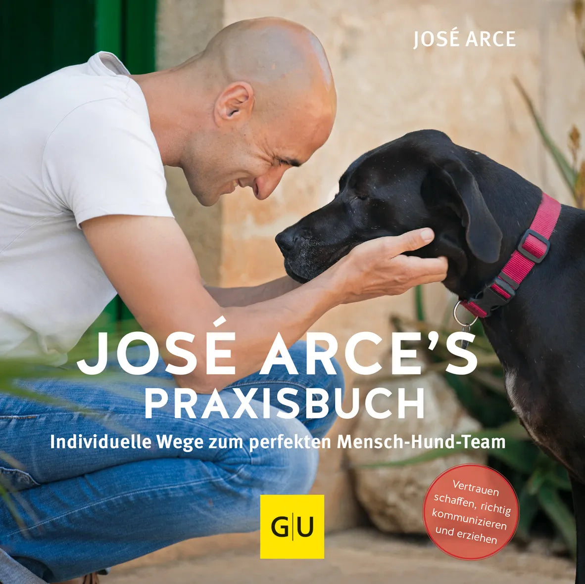 Buchcover von 'José Arce's Praxisbuch' - Taschenbuch von José Arce