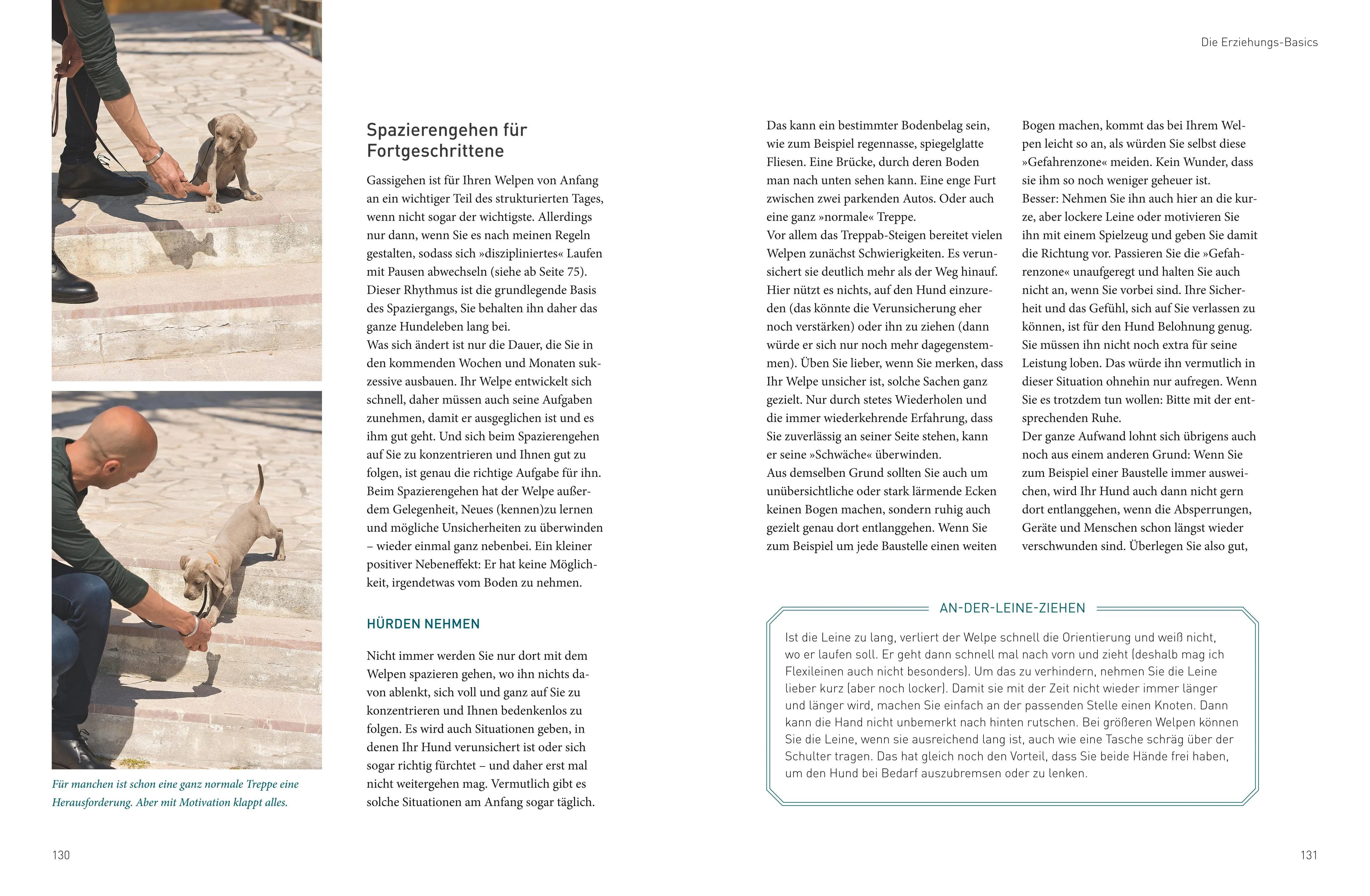 Produktansicht: José Arces Welpenbuch (Gebundene Ausgabe)