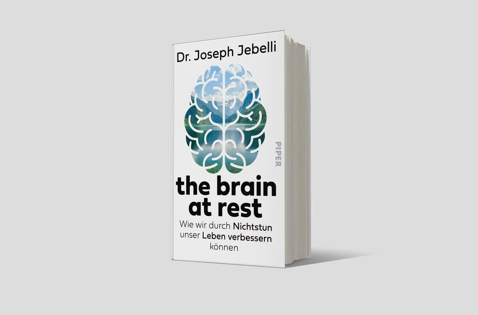 Produktansicht: the brain at rest (Gebundene Ausgabe)
