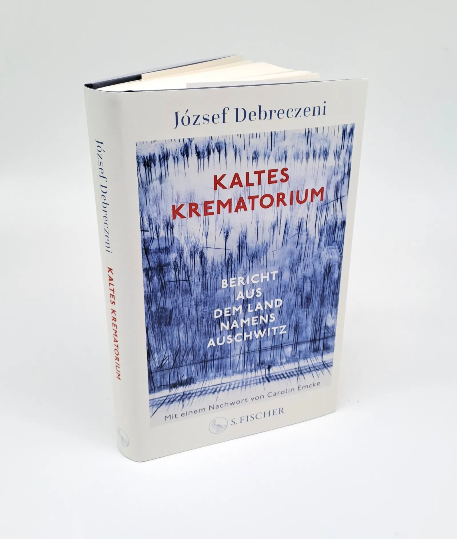 Produktansicht: Kaltes Krematorium (Gebundene Ausgabe)