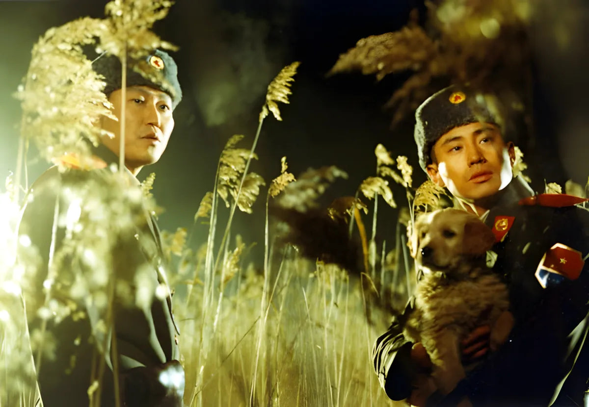 Filmszene 3 aus JSA - Joint Security Area (Mediabook) – 4K UHD Blu-ray. Regie: Park Chan-Wook