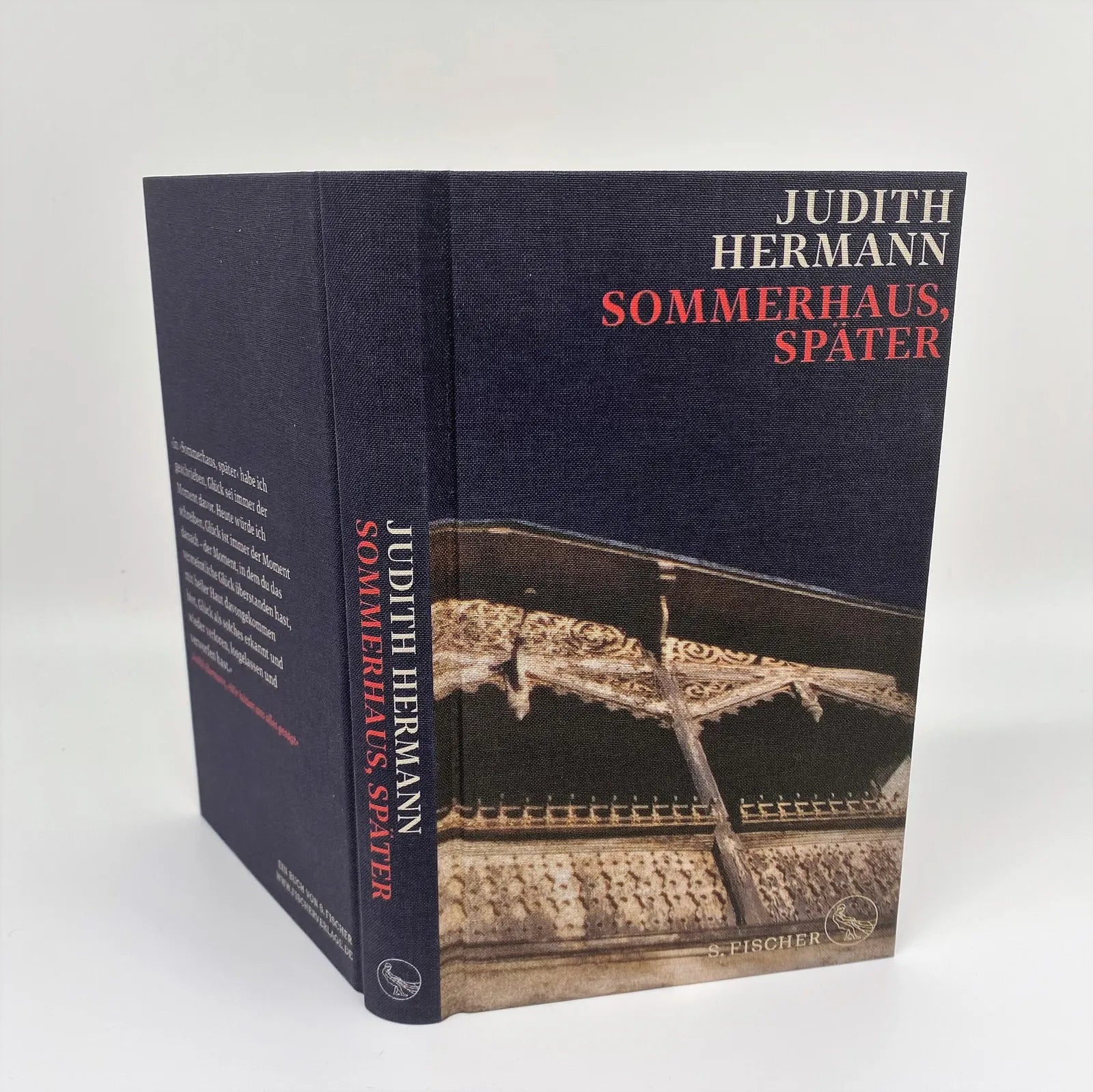 Produktansicht: Sommerhaus, später (Gebundene Ausgabe)
