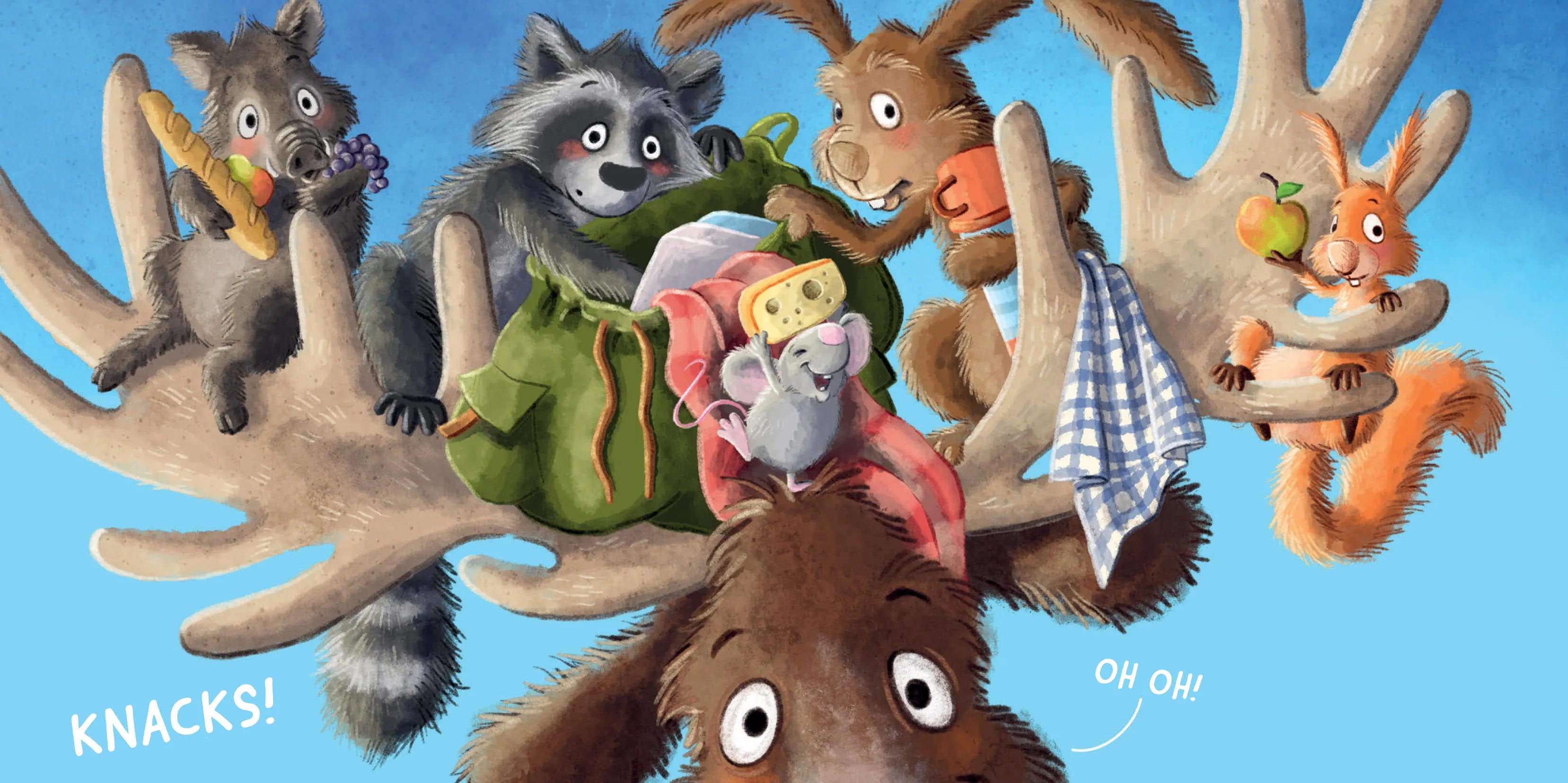 Produktansicht: Seht ihr was? (Gebundene Ausgabe)