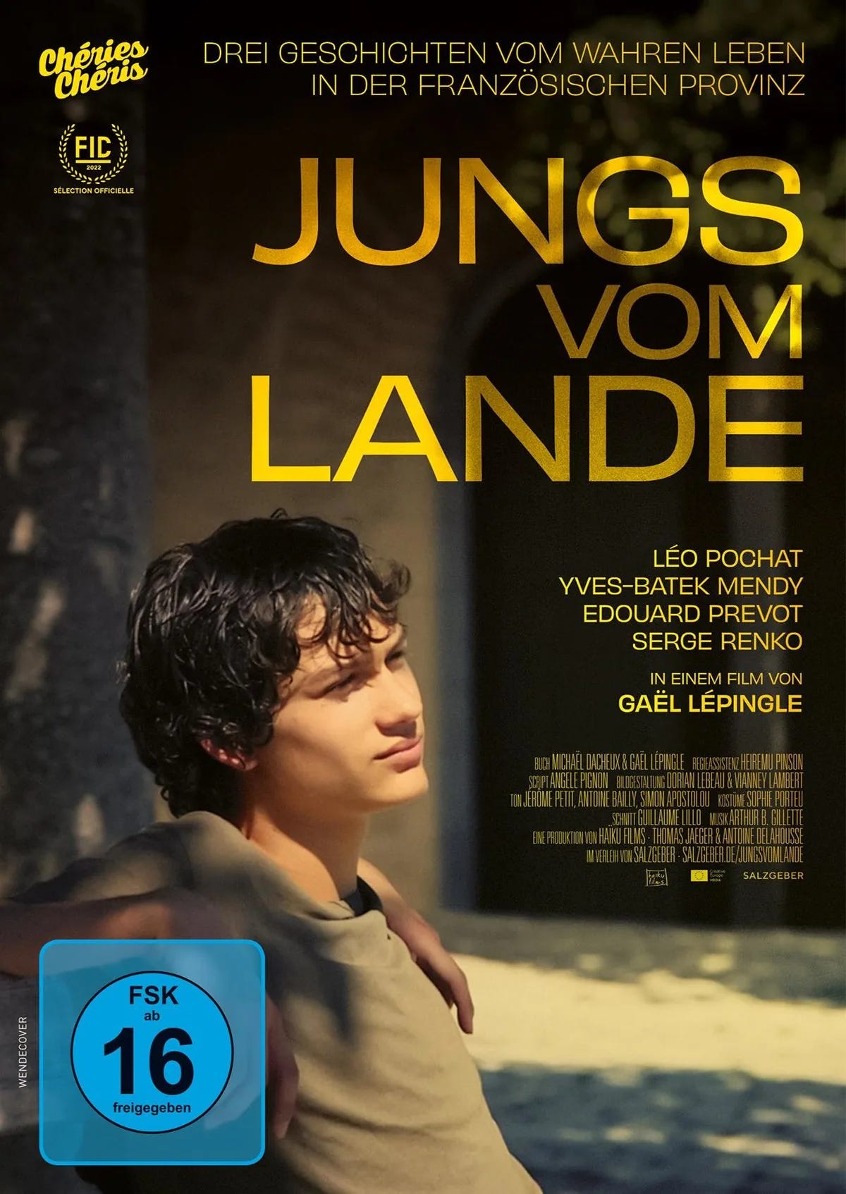 Jungs vom Lande - DVD