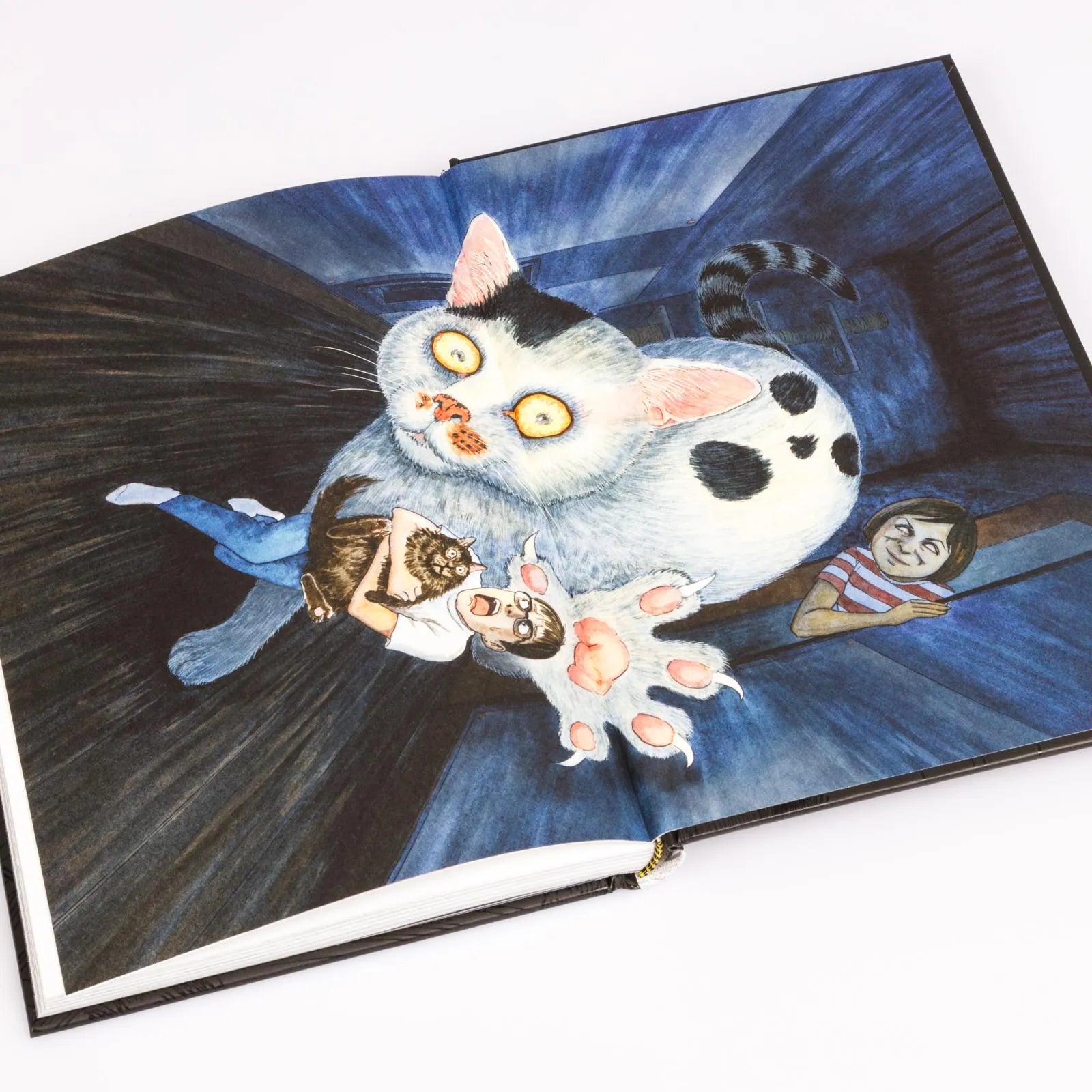 Produktansicht: Junji Itos Katzentagebuch (Gebundene Ausgabe)