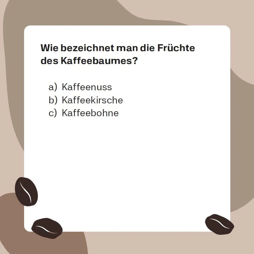 Kaffee-Quiz (Neuauflage) – Ansicht