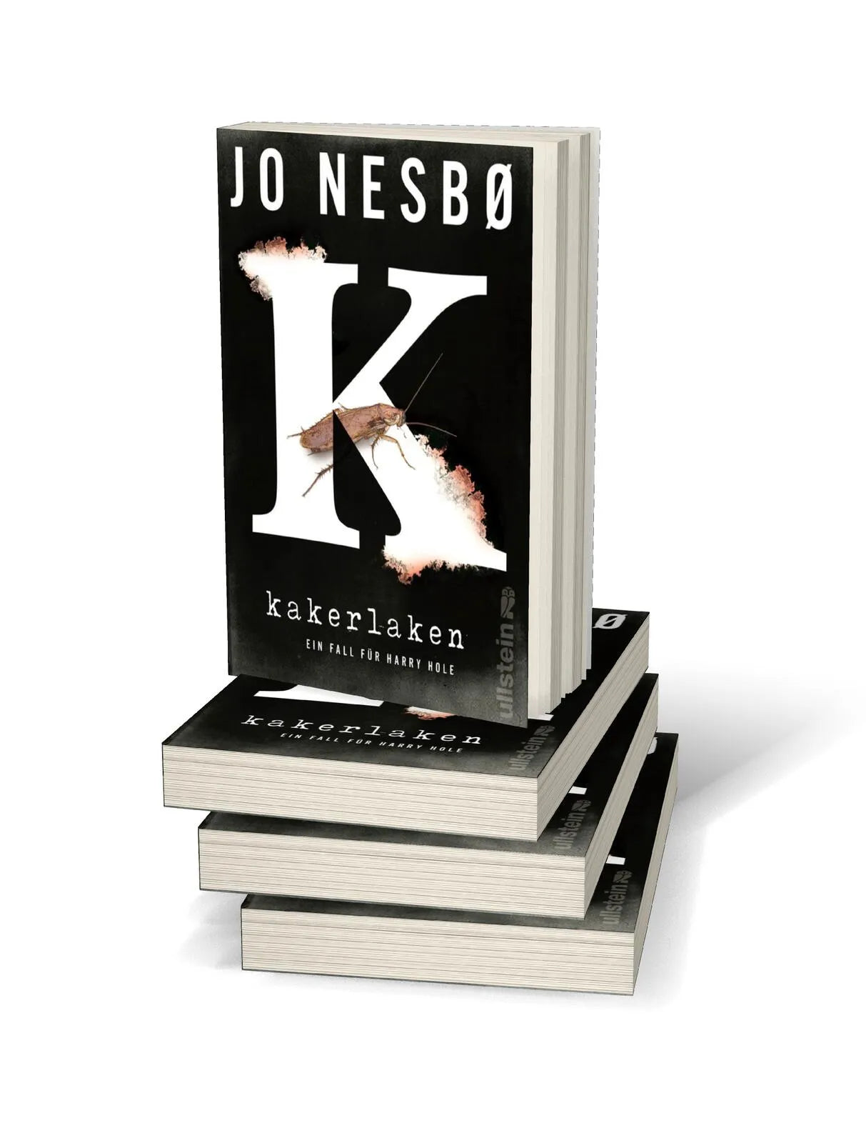 Abbildung von 'Kakerlaken'