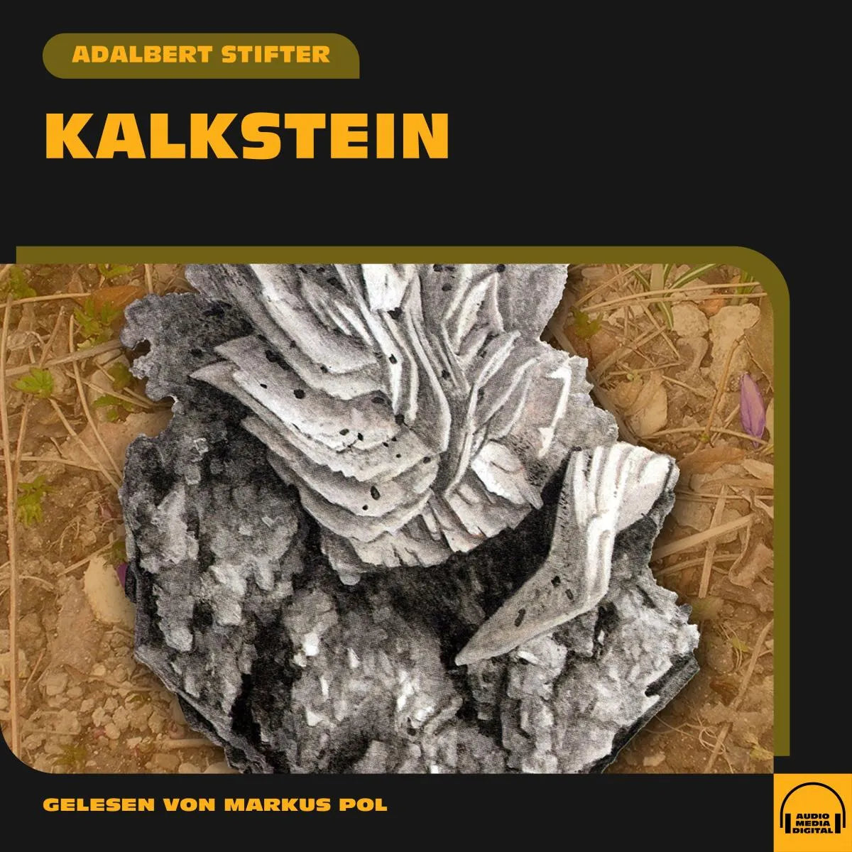 Cover: Kalkstein (Hörbuch Download) von Adalbert Stifter