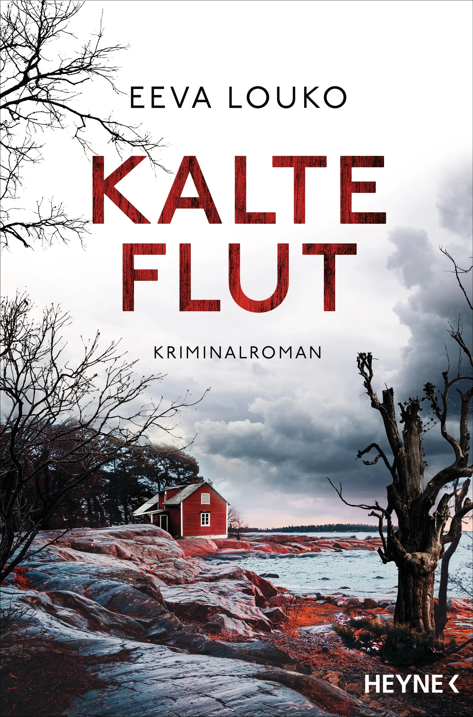Cover: Kalte Flut (E-Book) von Eeva Louko