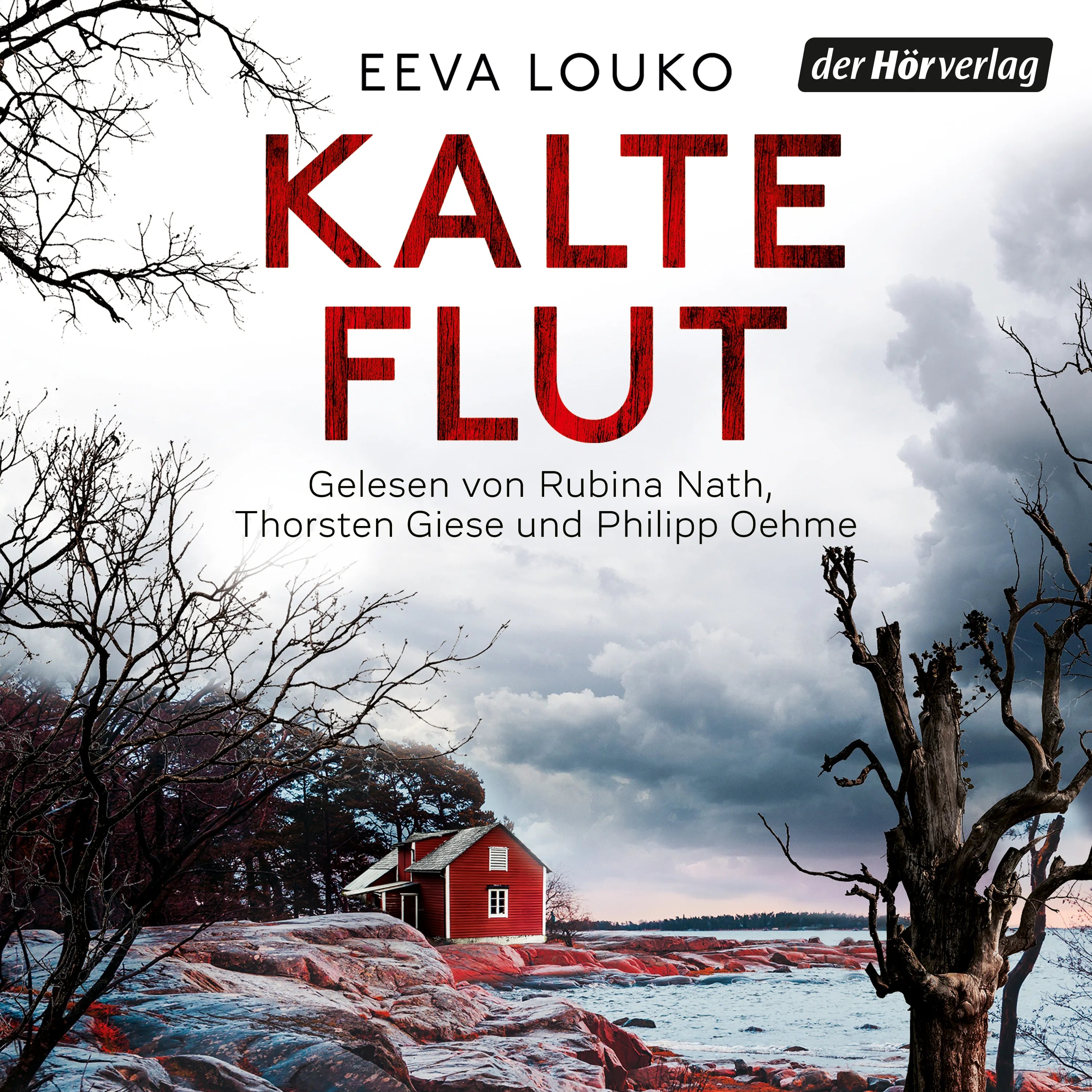 Cover: Kalte Flut (Hörbuch Download) von Eeva Louko