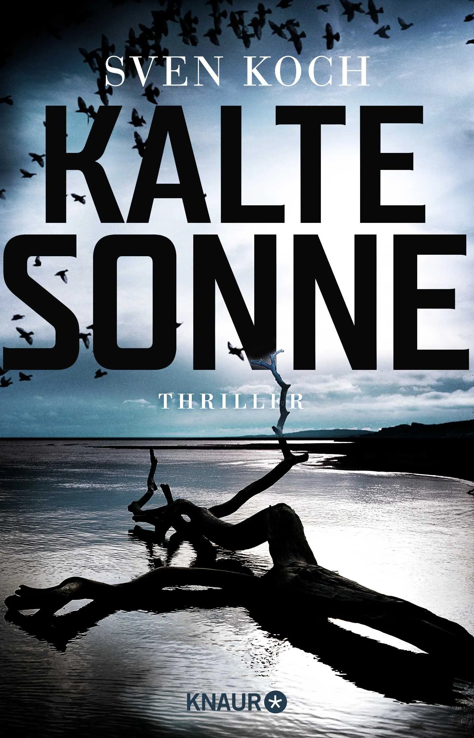 Buchcover von 'Kalte Sonne' - Paperback von Sven Koch