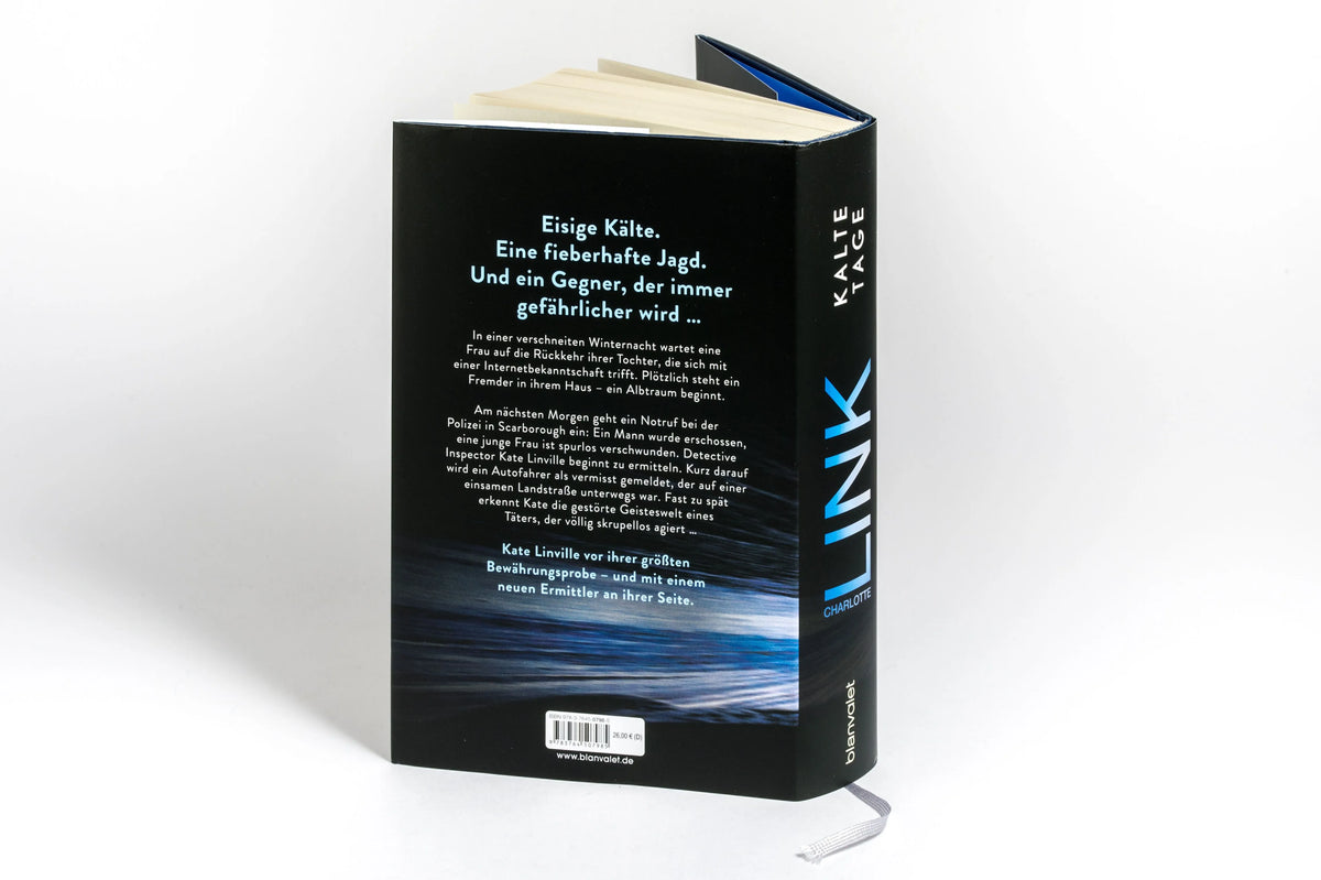 Detailansicht: Kalte Tage (Hardcover)