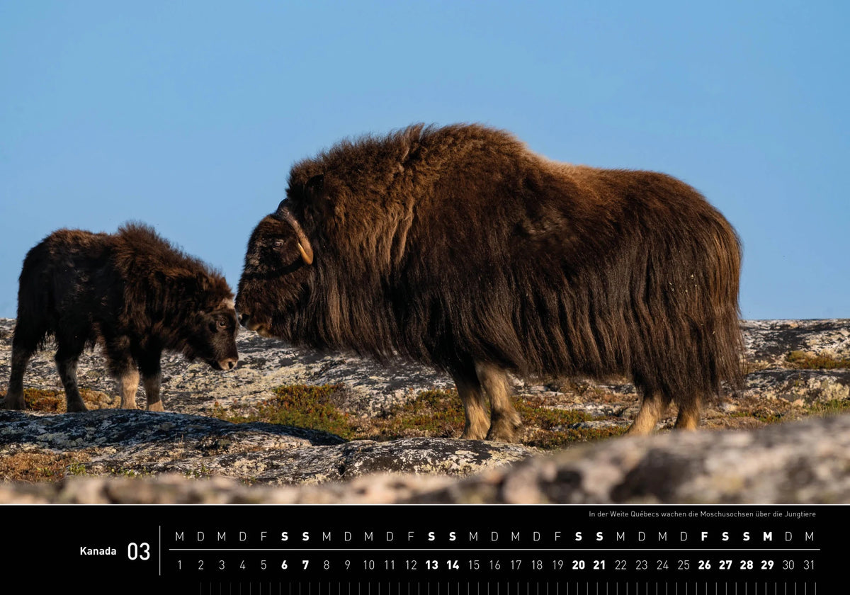 Kanada Premiumkalender 2027 – Ansicht