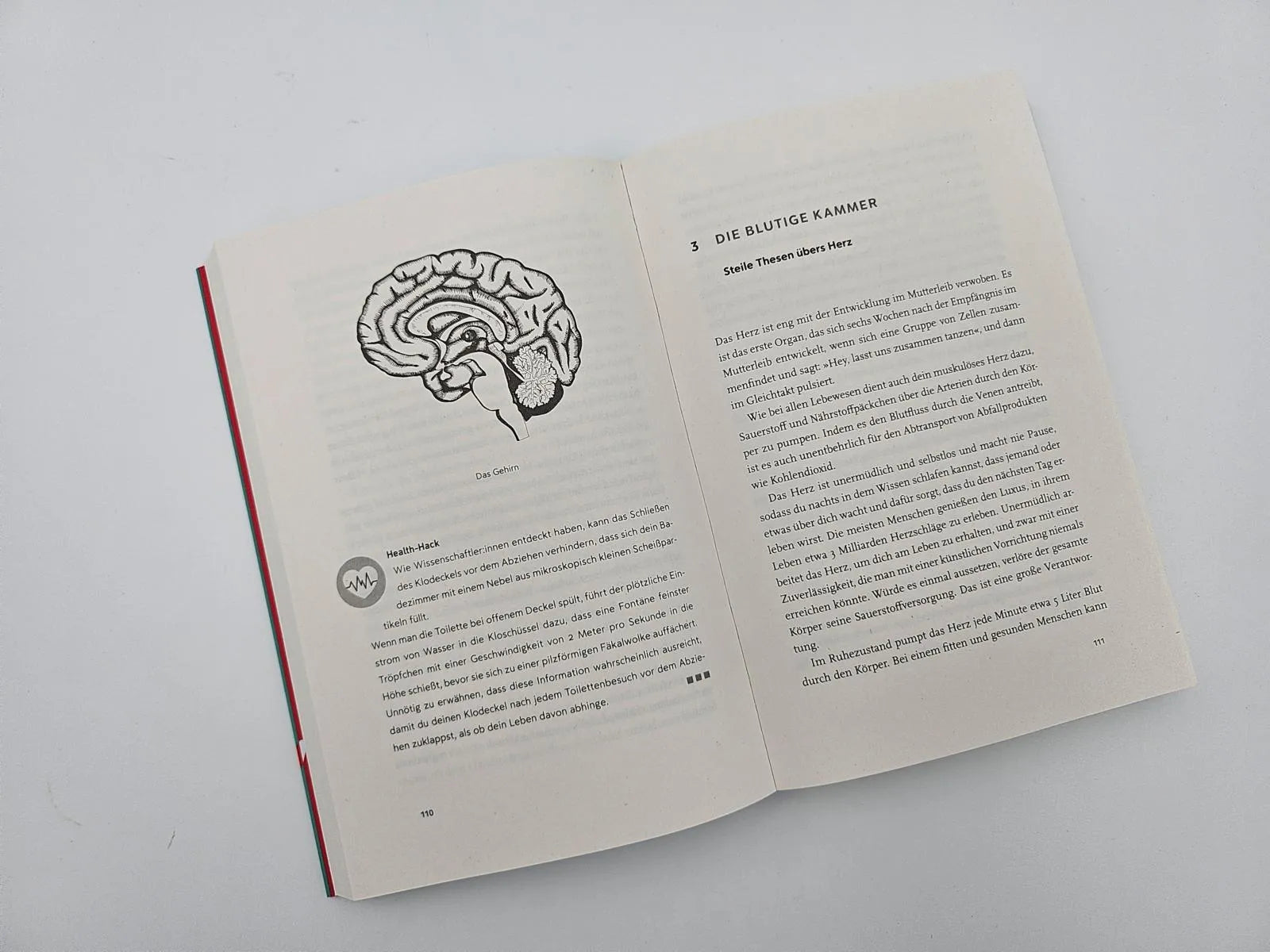 Produktansicht: This Book May Save Your Life (Paperback)