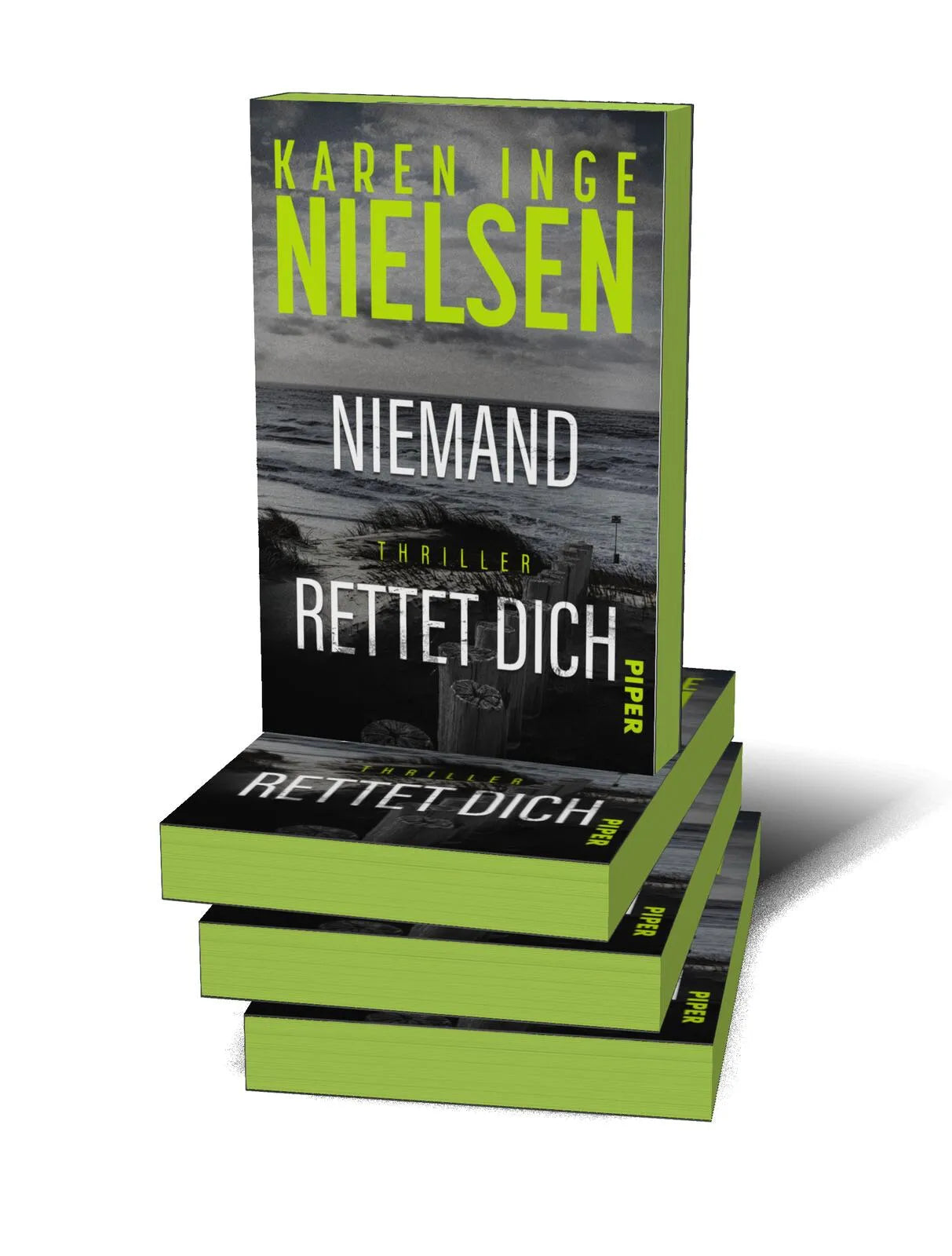 Produktansicht: Niemand rettet dich (Paperback)