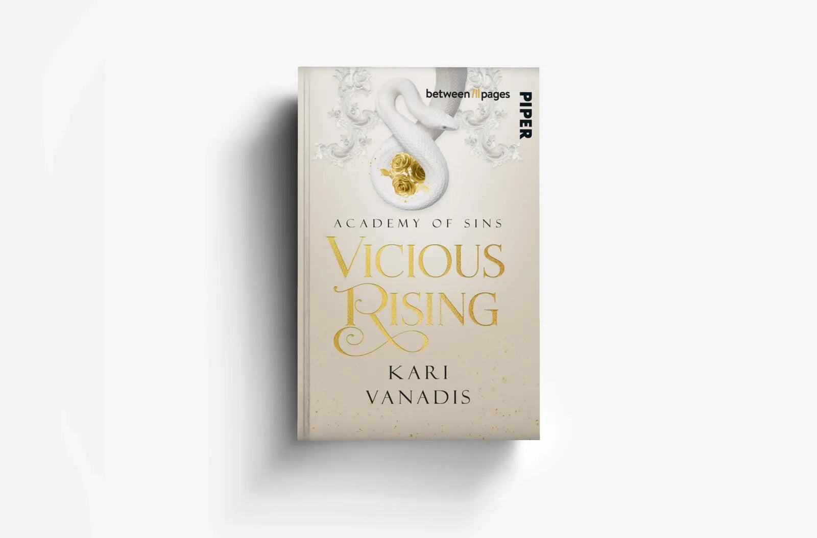 Produktansicht: Vicious Rising: Academy of Sins (Taschenbuch)