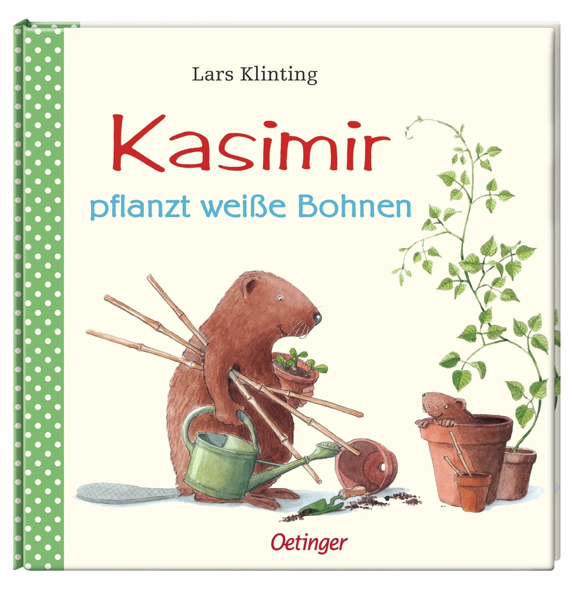Produktansicht: Kasimir pflanzt weiße Bohnen (Gebundene Ausgabe)