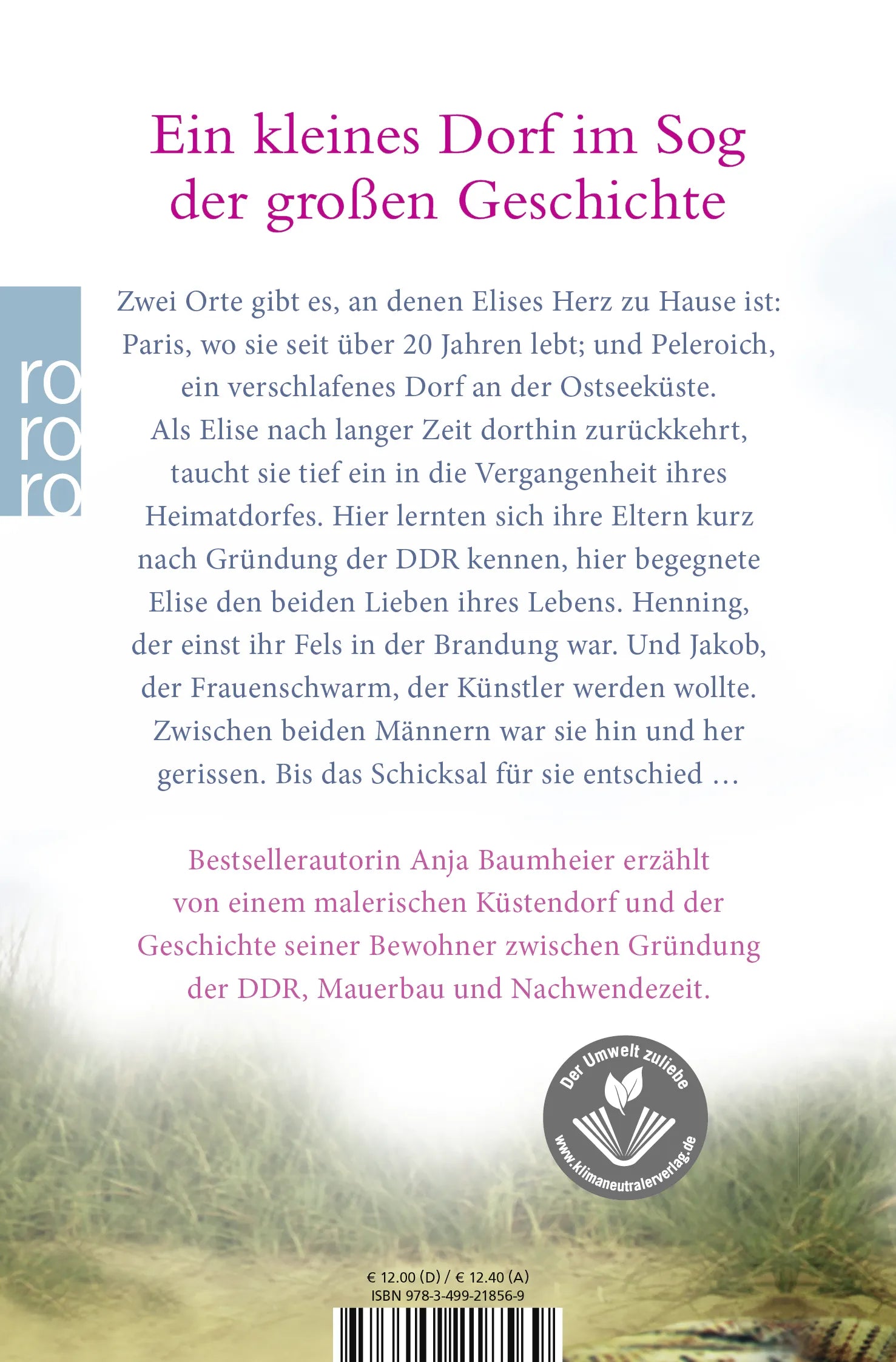 Buchrückseite von 'Kastanienjahre' mit Klappentext - Taschenbuch