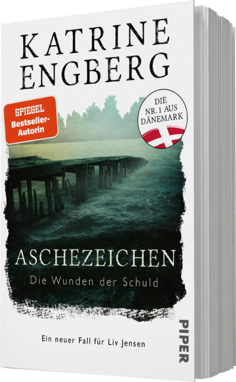 Produktansicht: Aschezeichen (Paperback)