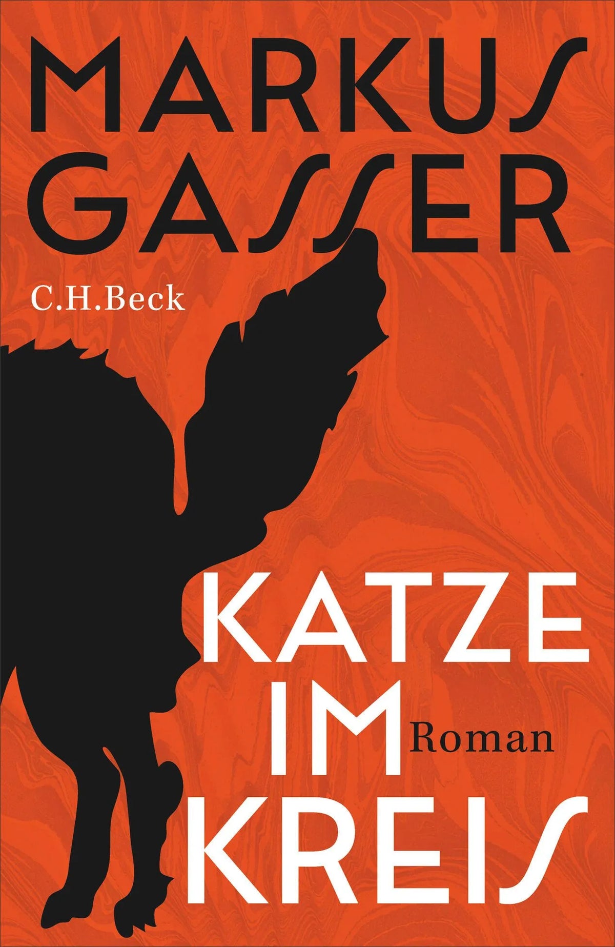 Cover: Katze im Kreis (Hardcover) von Markus Gasser