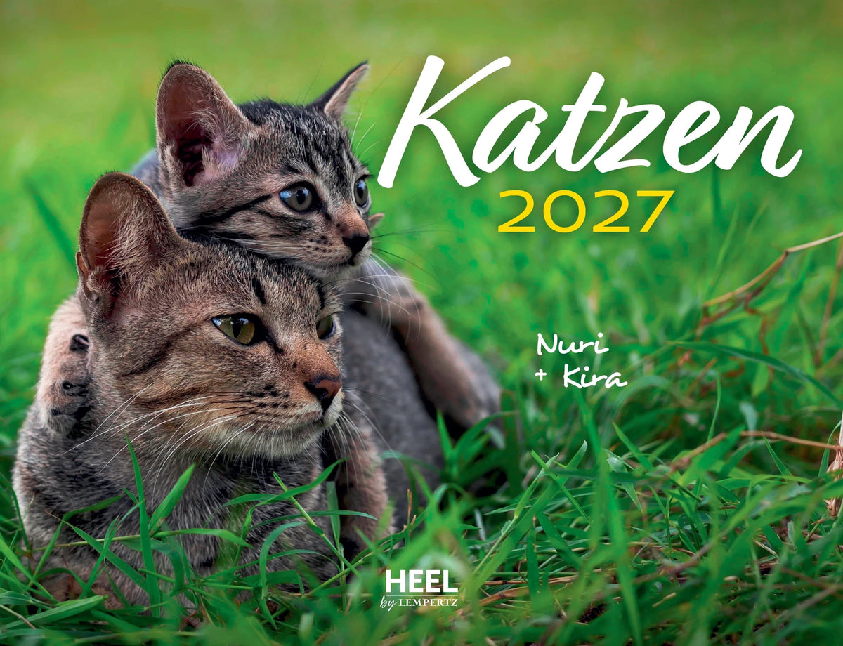 Wandkalender: Katzen 2027 Eintragkalender