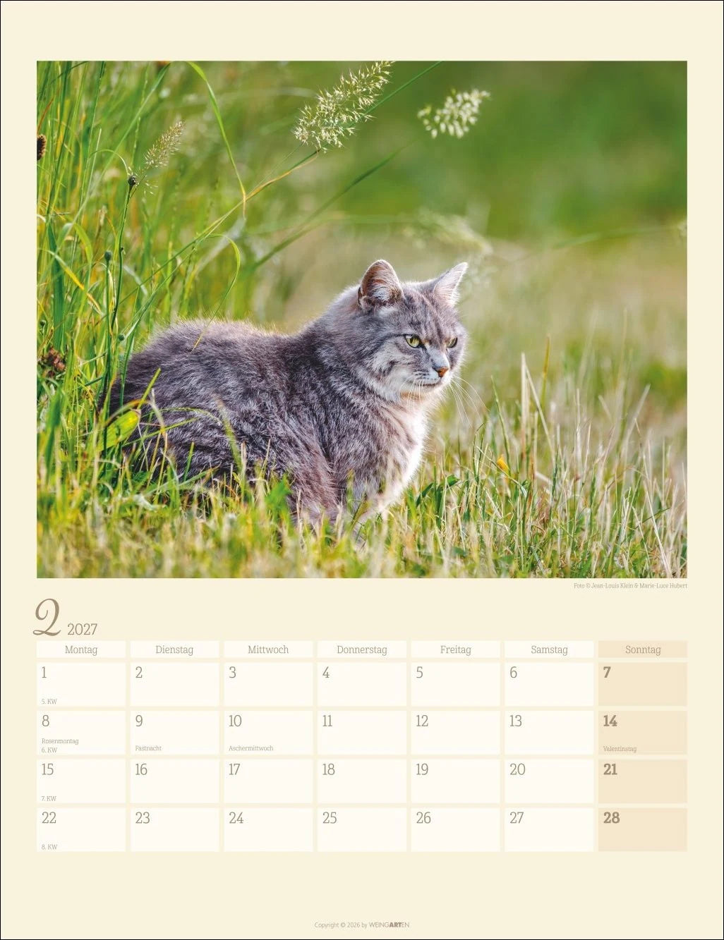Katzen auf dem Lande Kalender 2027 – Ansicht