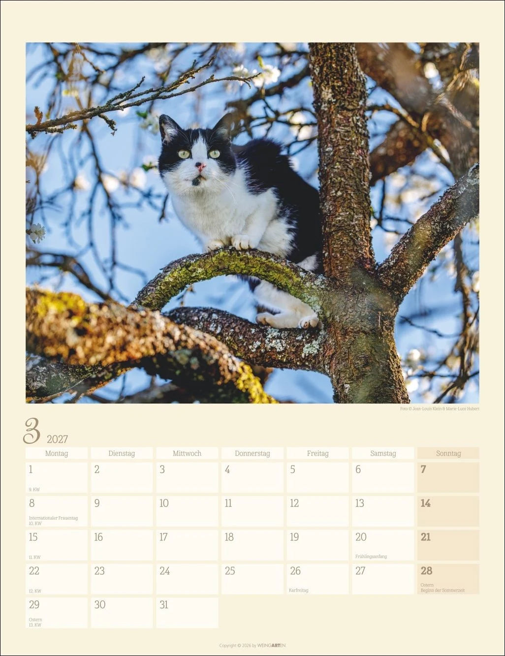 Katzen auf dem Lande Kalender 2027 – Ansicht
