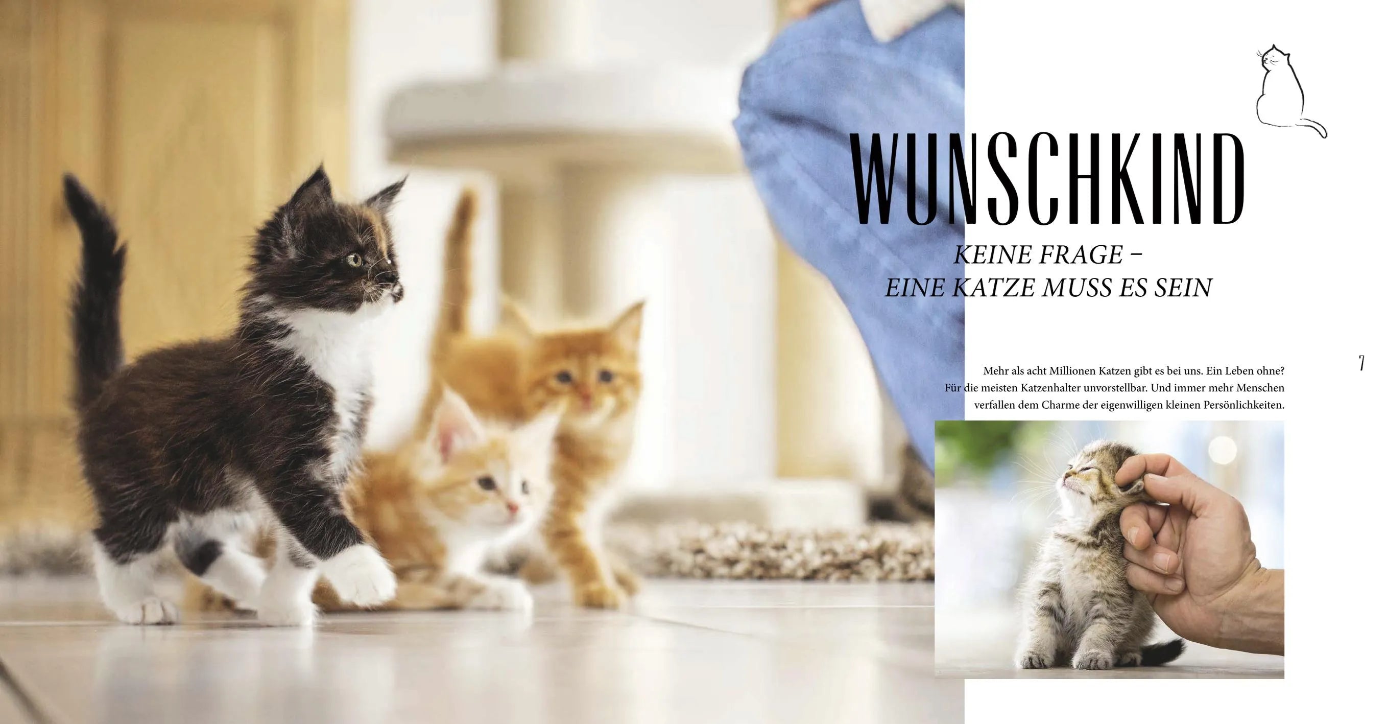 Produktansicht: Katzen-Basics (Paperback)