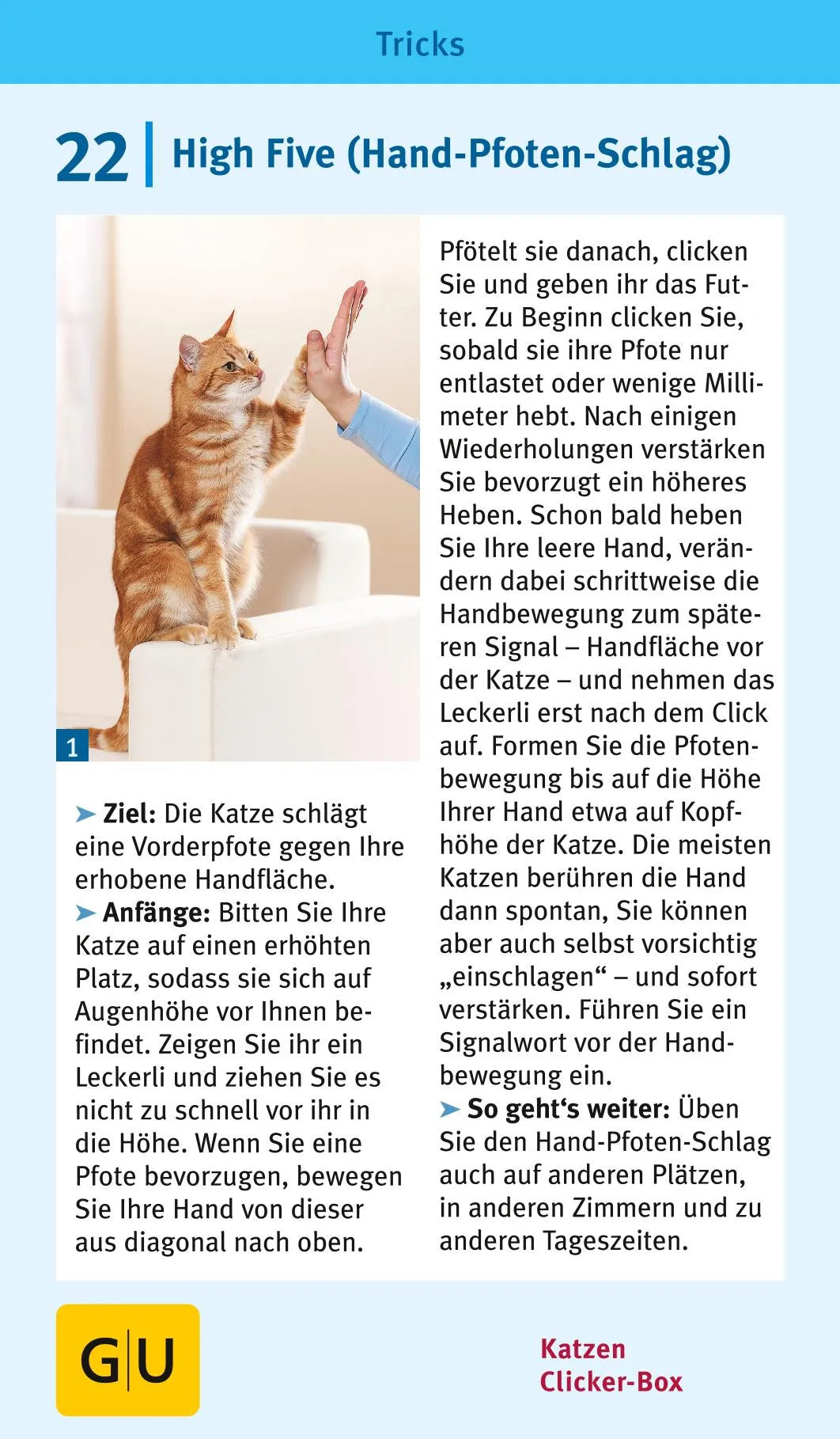 Detailansicht: Katzen-Clicker-Box (Hardcover)