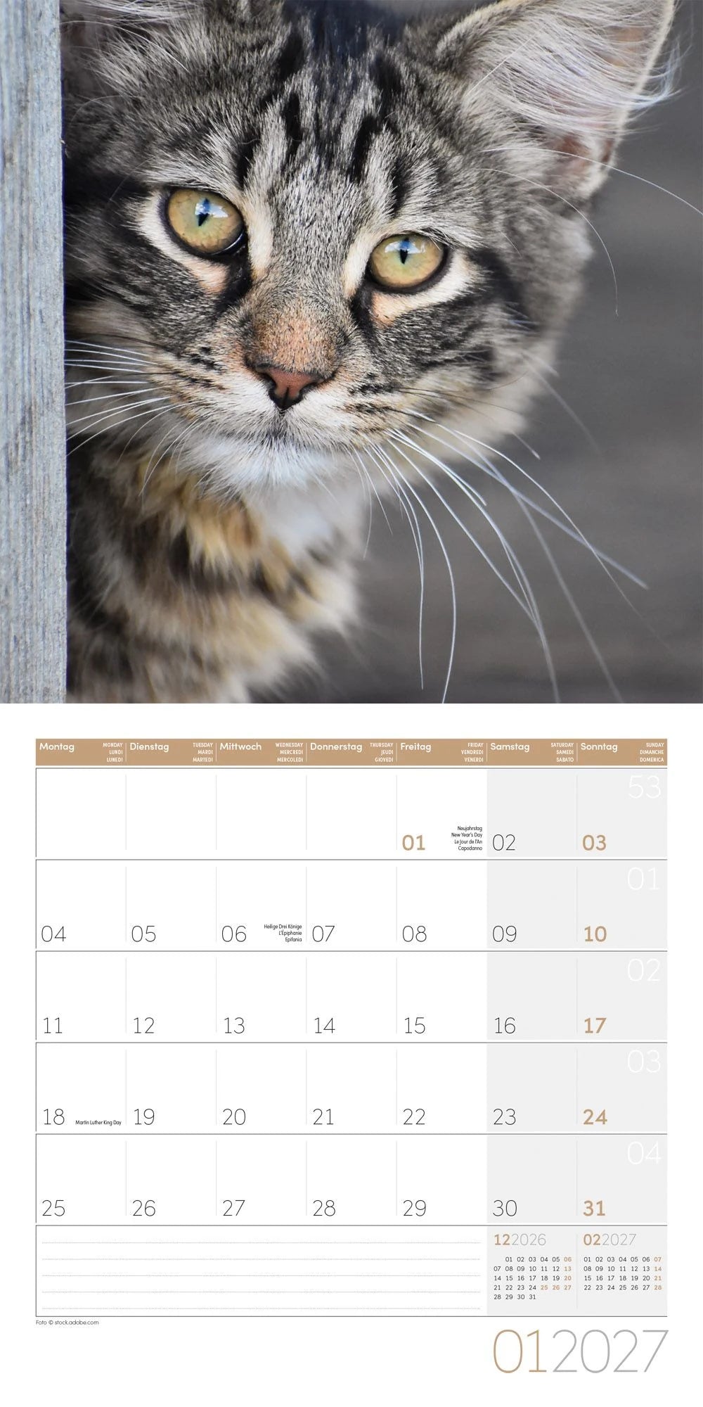 Katzen Kalender 2027 - 30x30 - Art12 – Ansicht