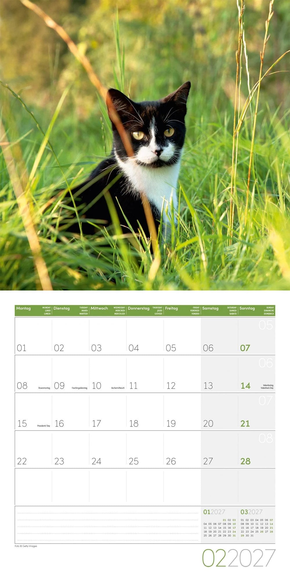 Katzen Kalender 2027 - 30x30 - Art12 – Ansicht