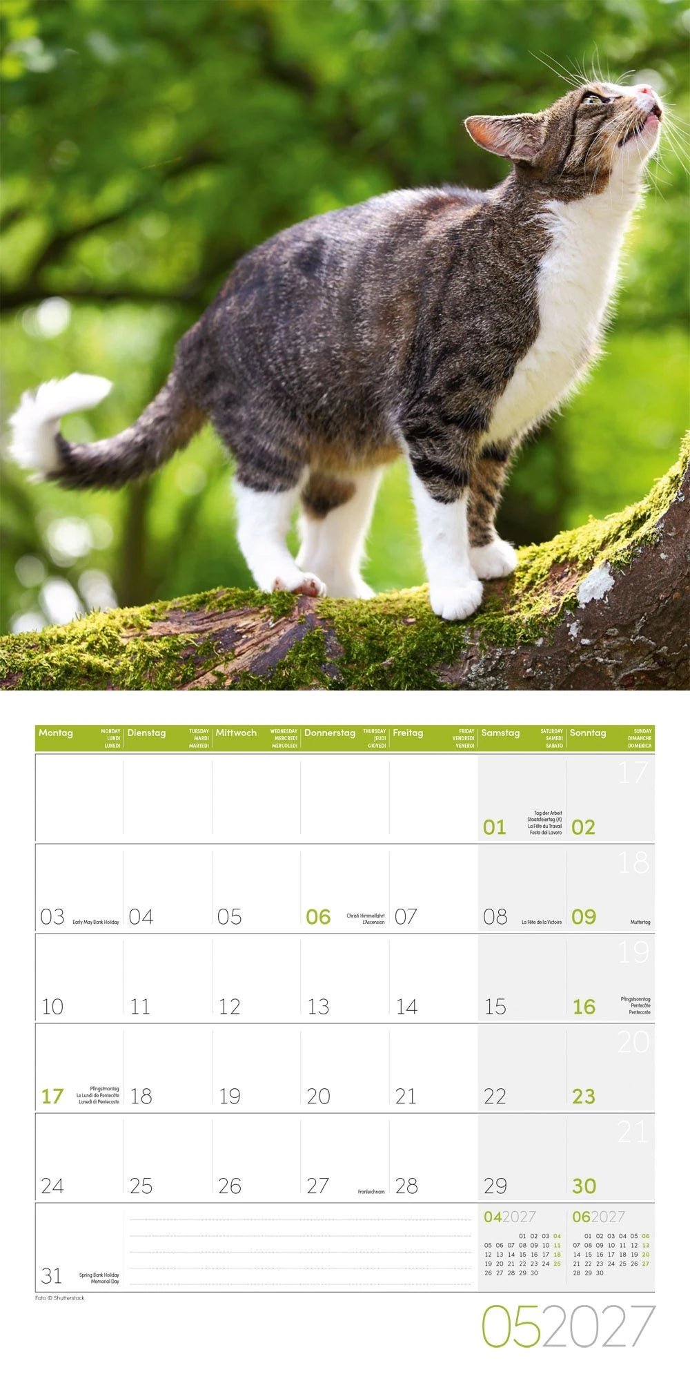 Katzen Kalender 2027 - 30x30 - Art12 – Ansicht