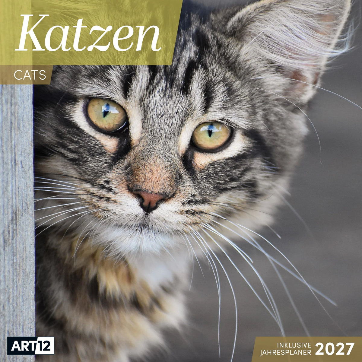 Wandkalender: Katzen Kalender 2027 - 30x30 - Art12