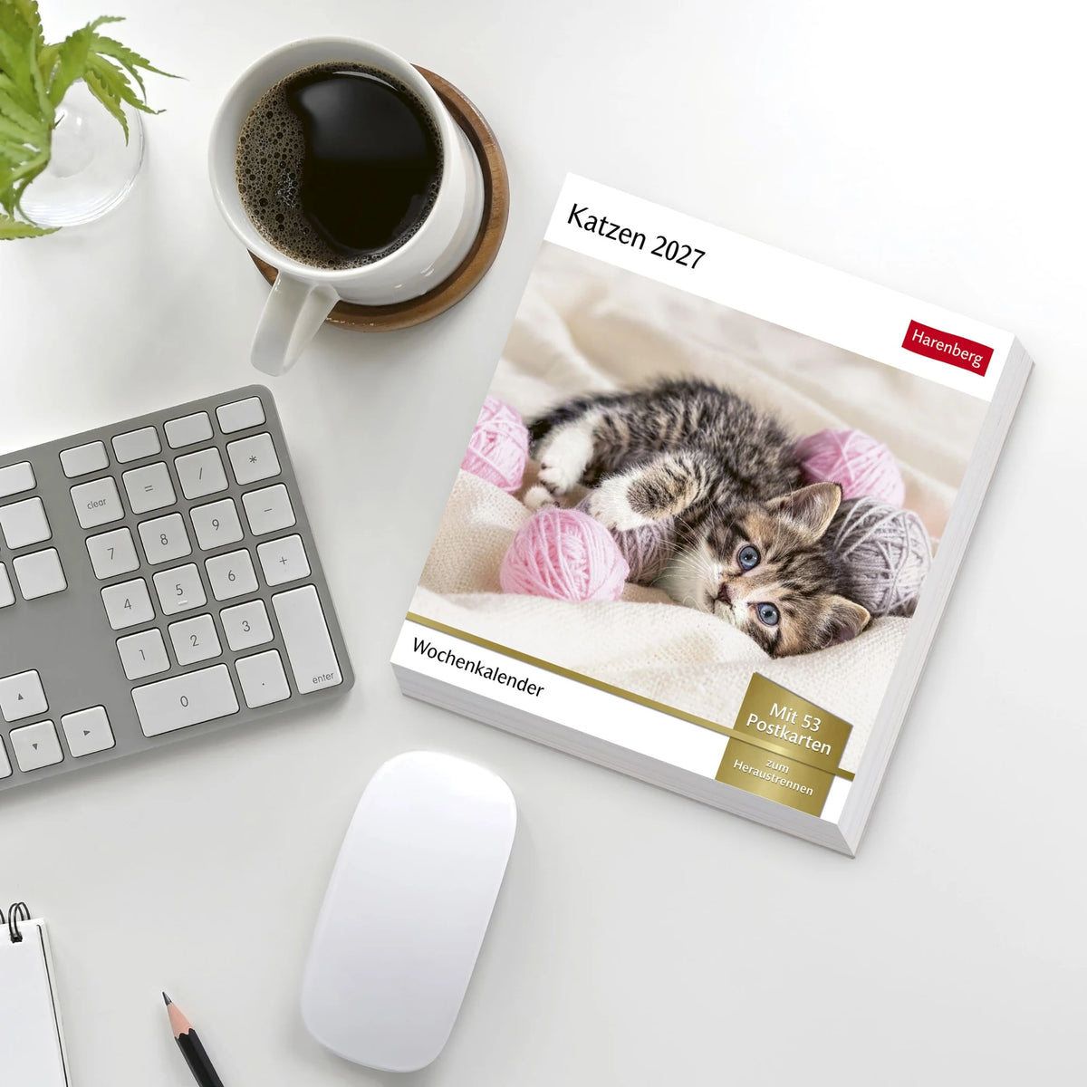 Katzen Postkartenkalender 2027 - Wochenkalender mit 53 Postkarten – Ansicht