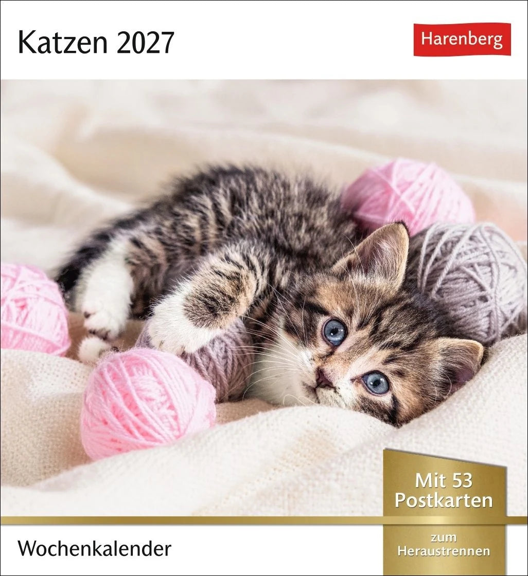 Postkartenkalender: Katzen Postkartenkalender 2027 - Wochenkalender mit 53 Postkarten