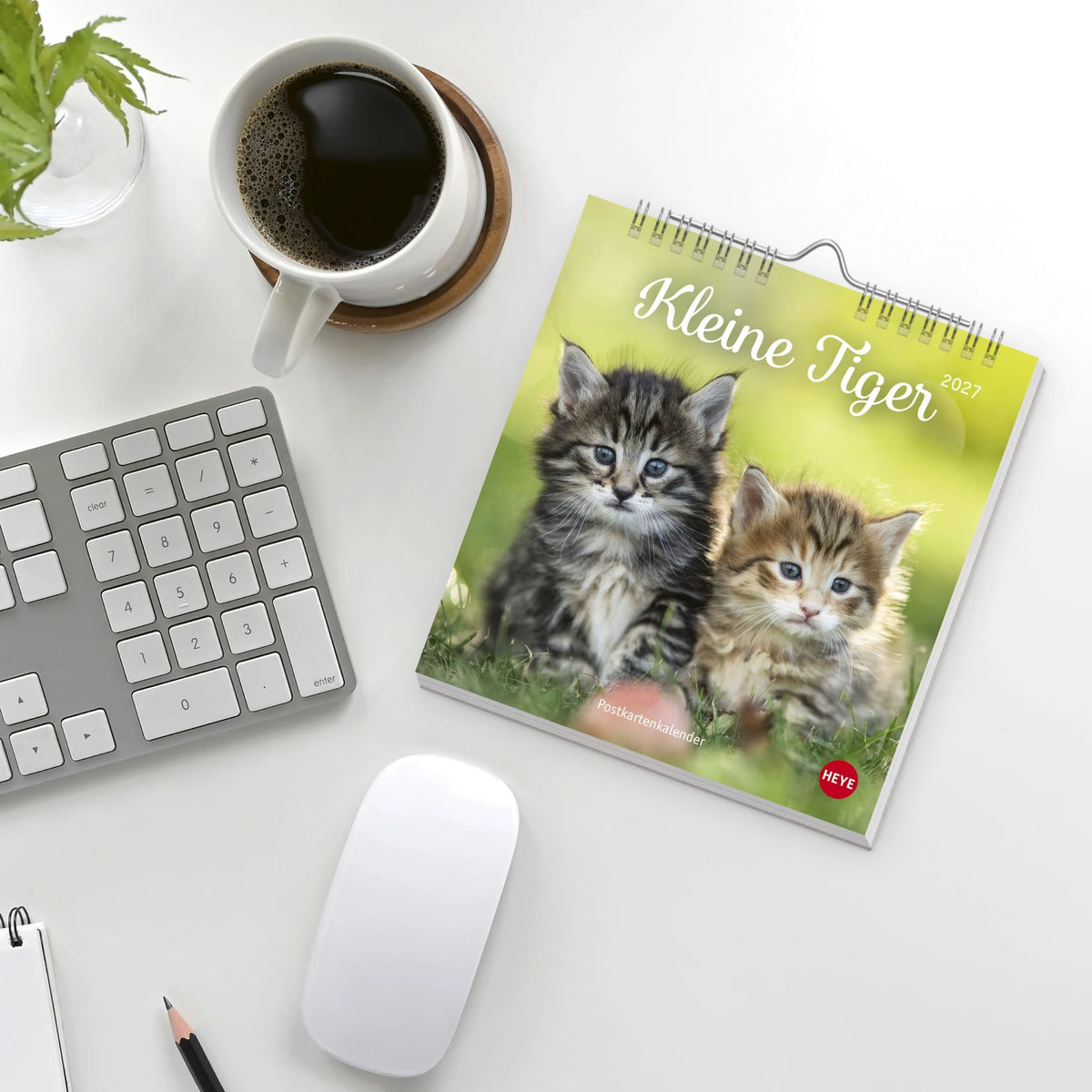 Katzen Postkartenkalender Kleine Tiger 2027 – Ansicht