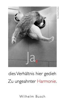 Katzen Taschenkalender 2027 – Ansicht