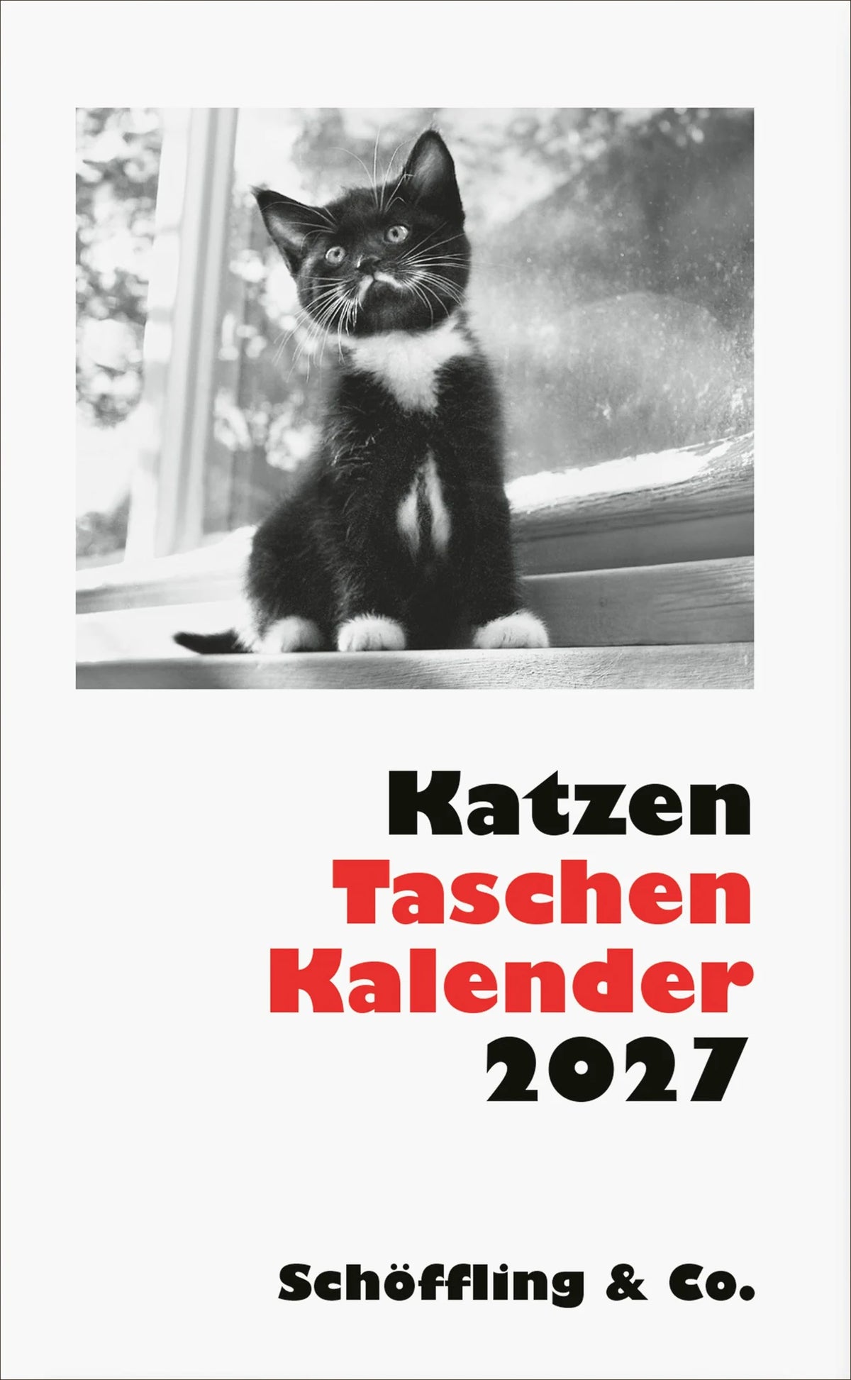 Taschenkalender: Katzen Taschenkalender 2027