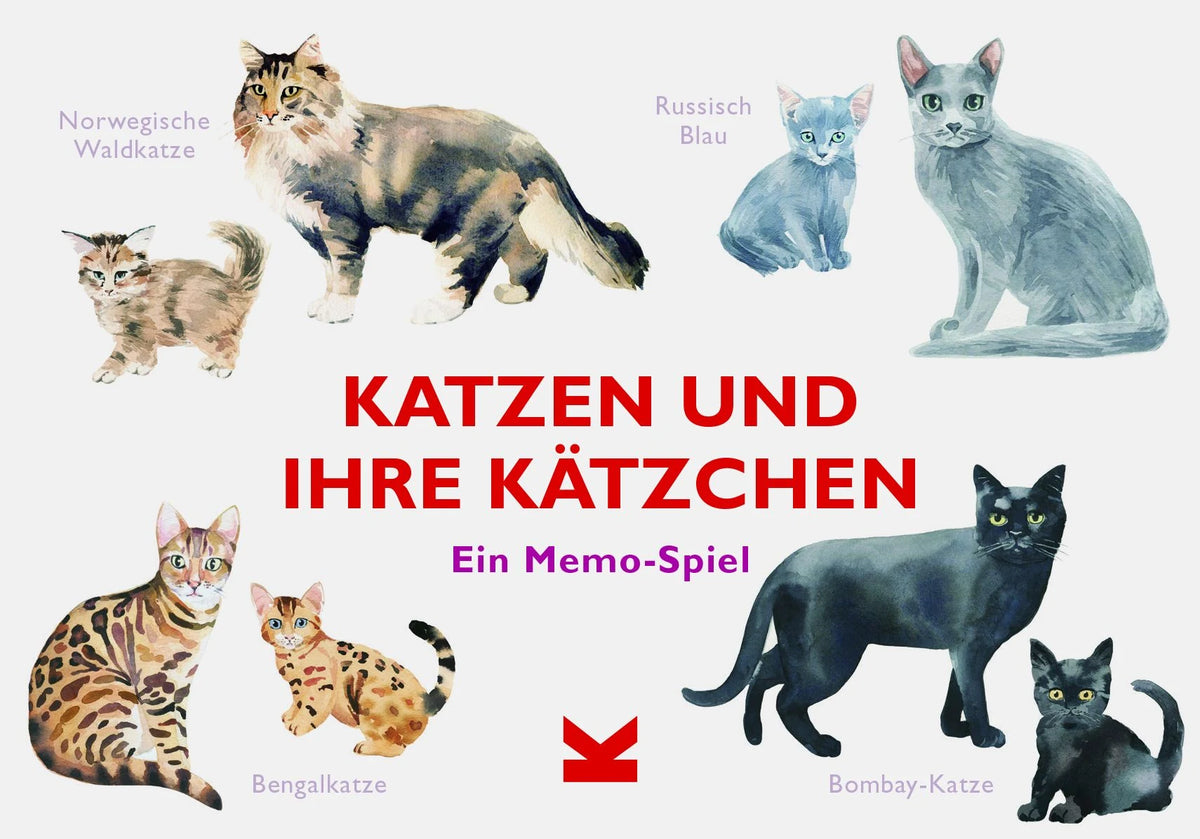 Kinderspiel: Katzen und ihre Kätzchen