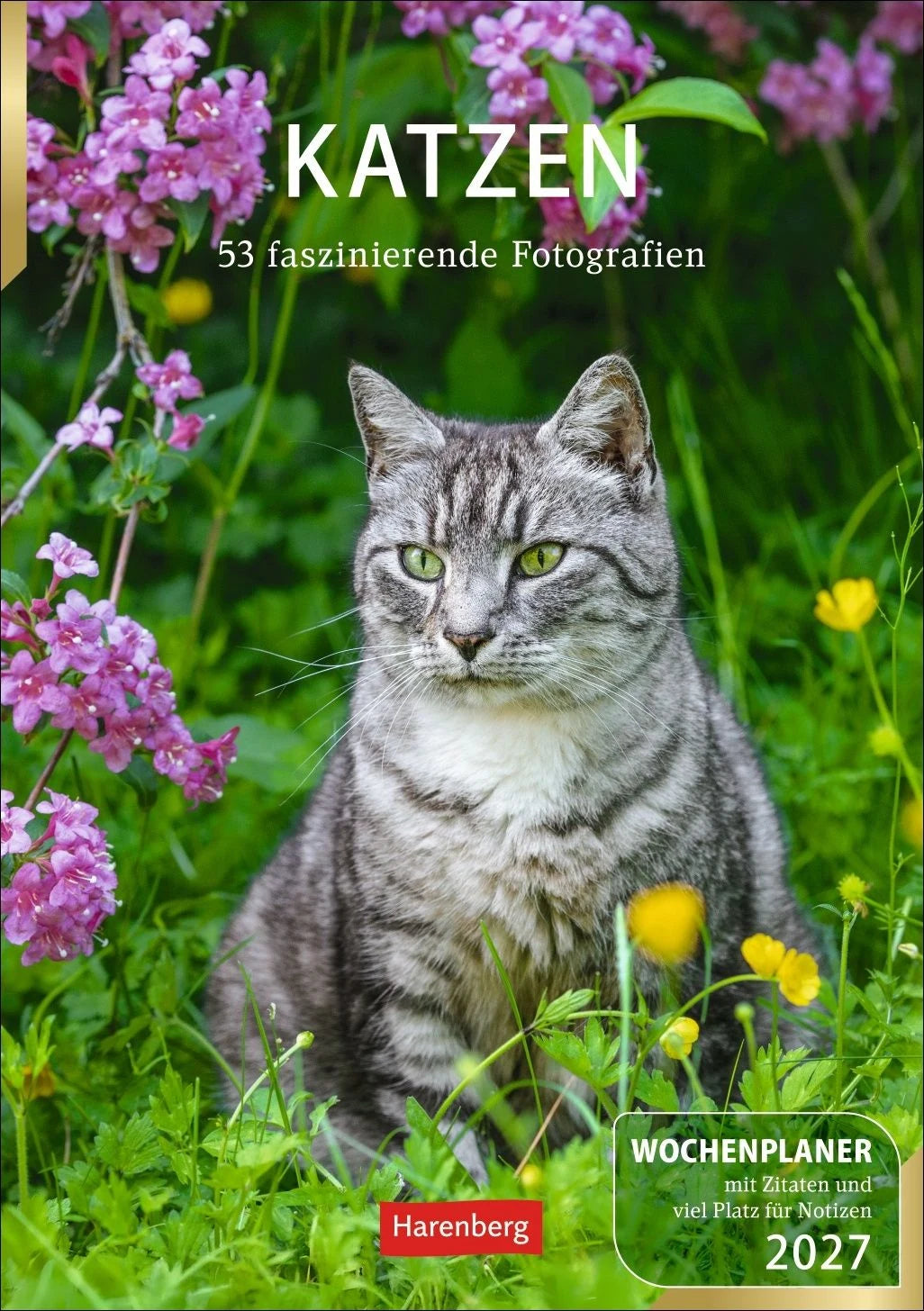 Taschenkalender: Katzen Wochenplaner 2027 - 53 faszinierende Fotografien
