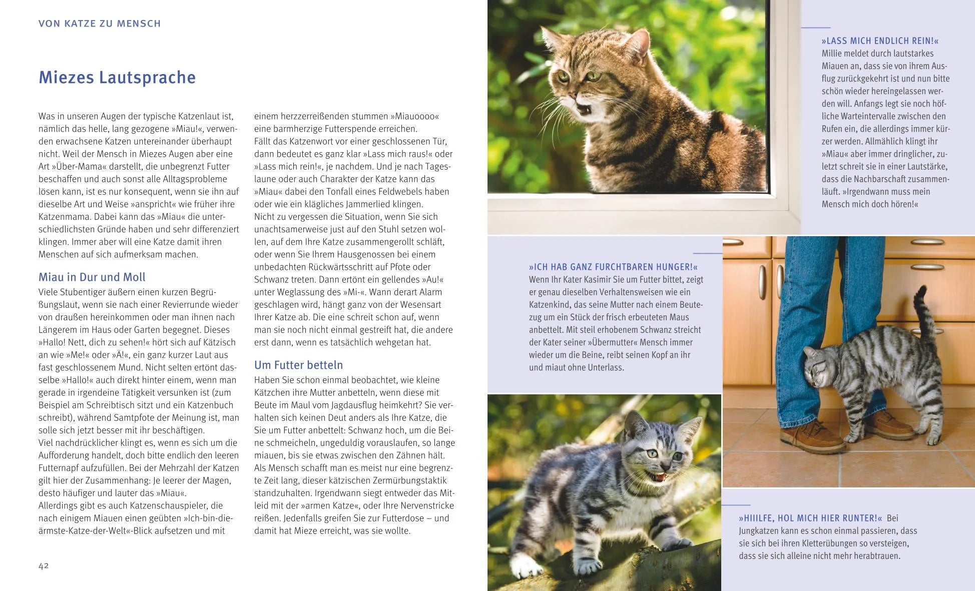 Abbildung von 'Katzensprache'